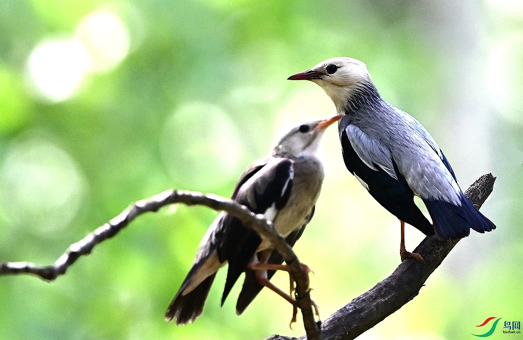 DSC_2326.JPG