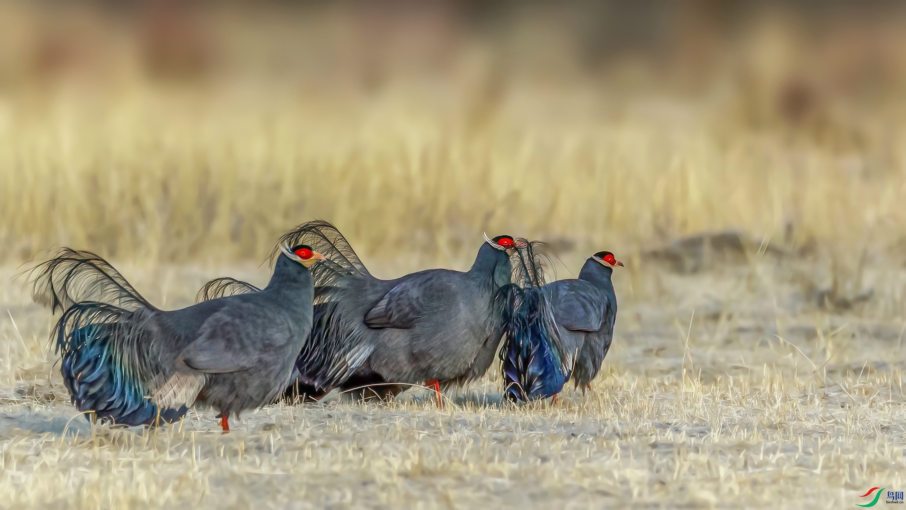 DSC_3374.jpgps4_����.jpg����.jpg7.jpg������.jpg7-topaz-enhance_����.jpg