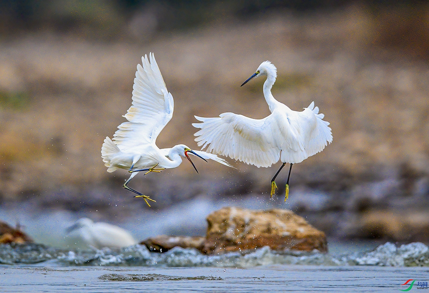 DSC_0499����_���� ����.jpg