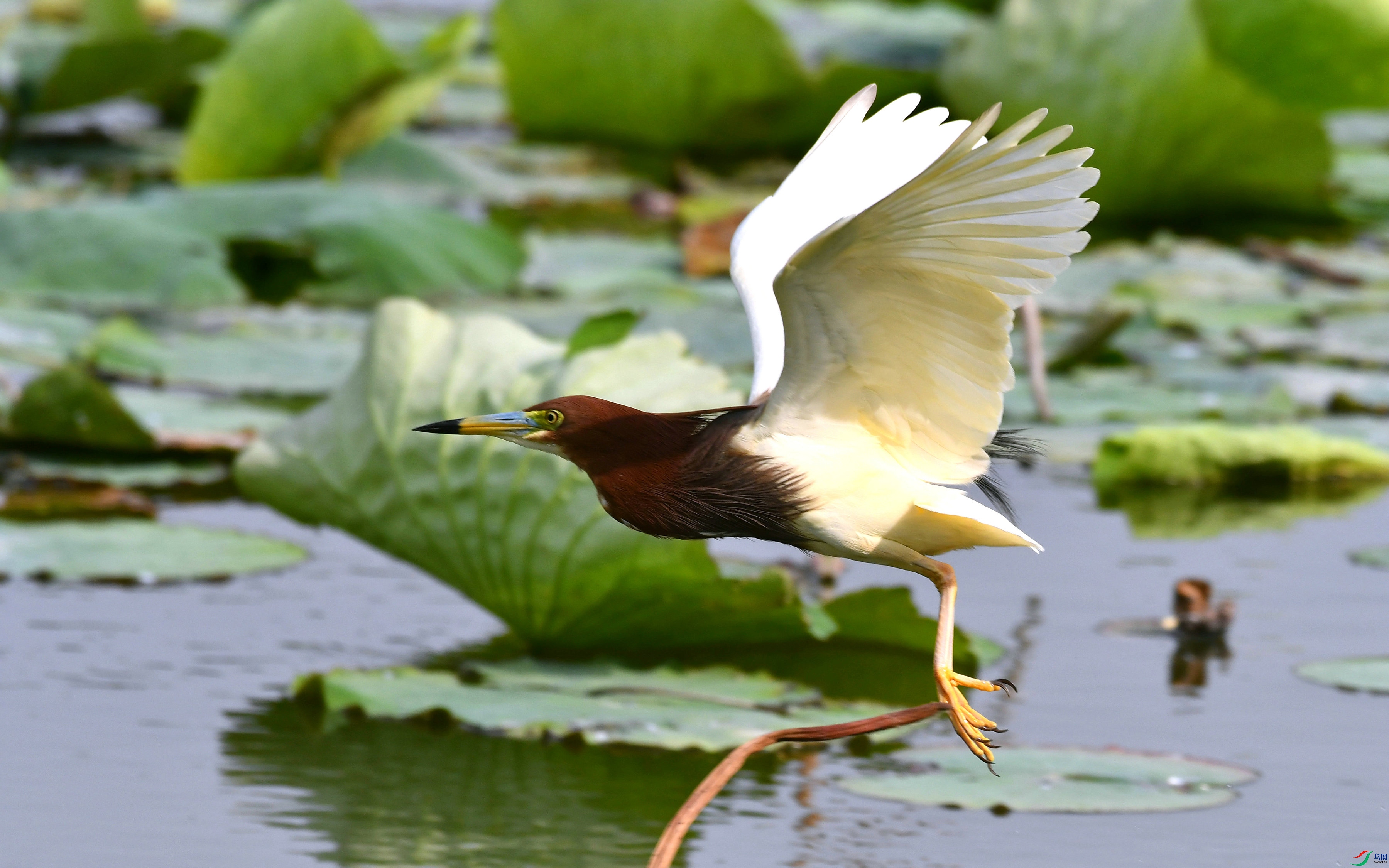 DSC_8455.JPG