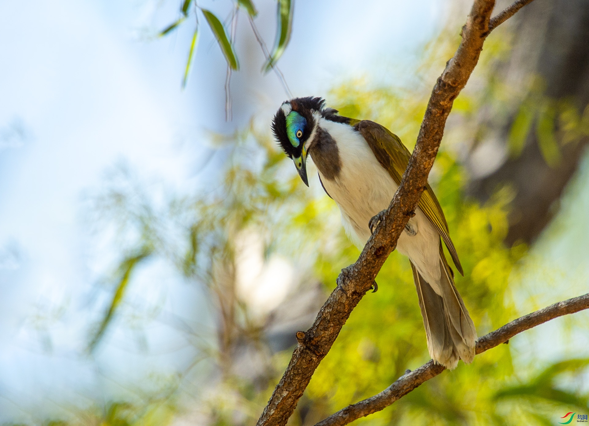 ��DSC_4613 ��ؐ.jpg