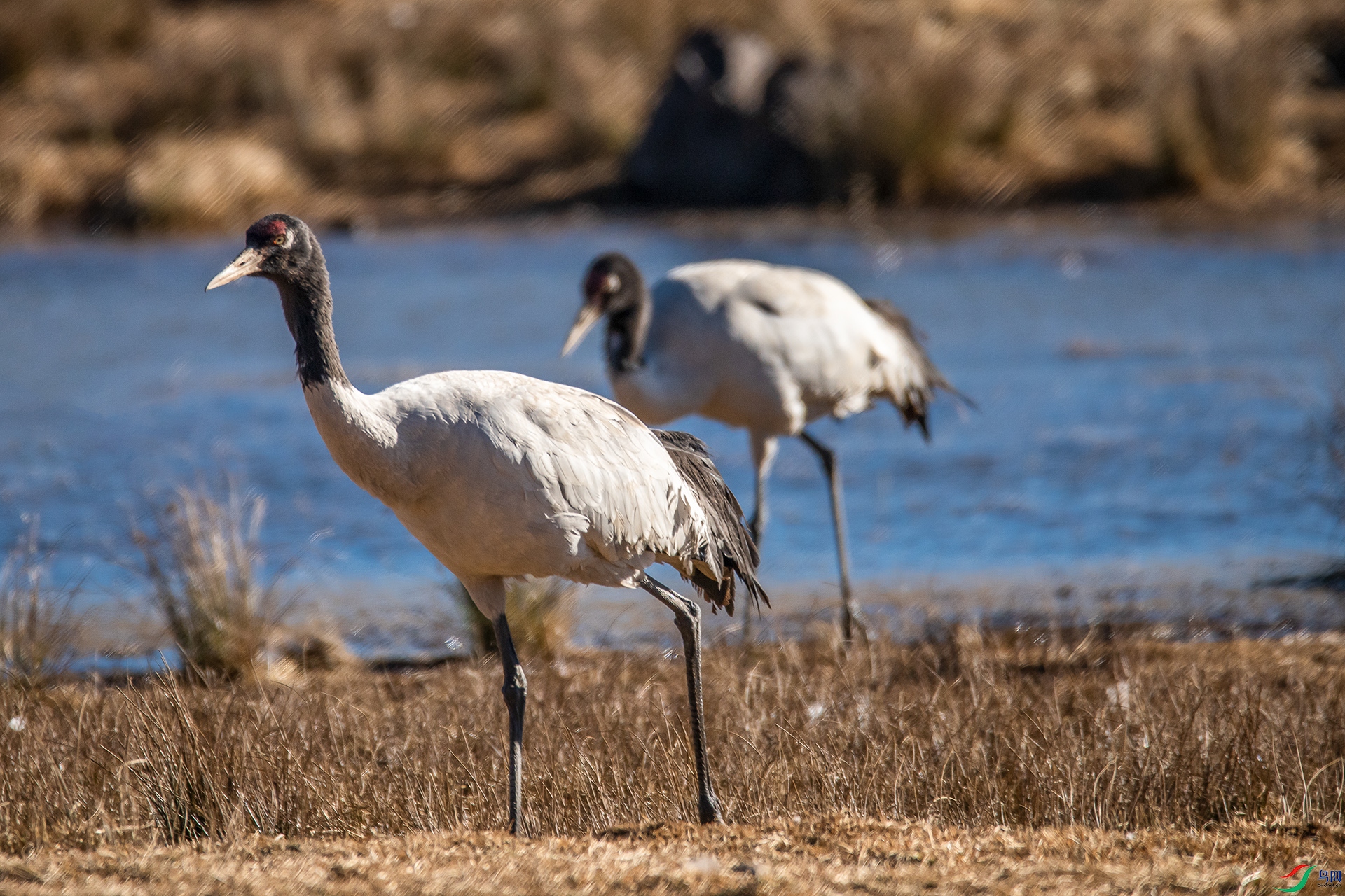 DSC_1856a ����111111111111.jpg