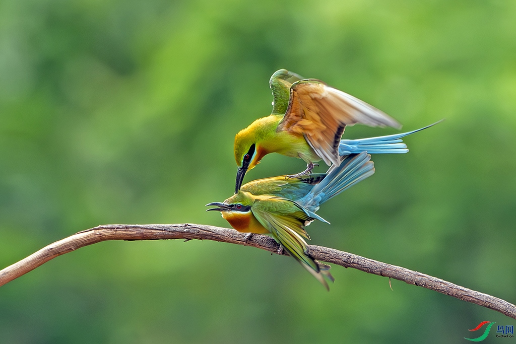 DSC_9689 0.jpg