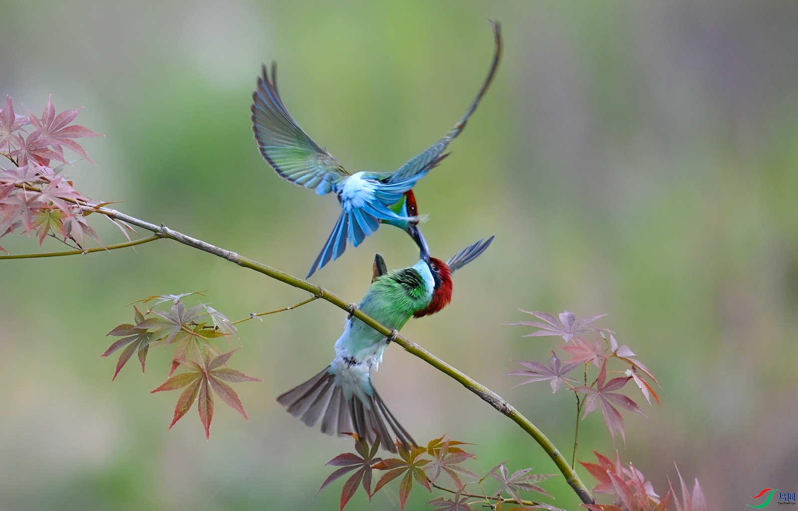 ��ͼDSC_0238 .jpg