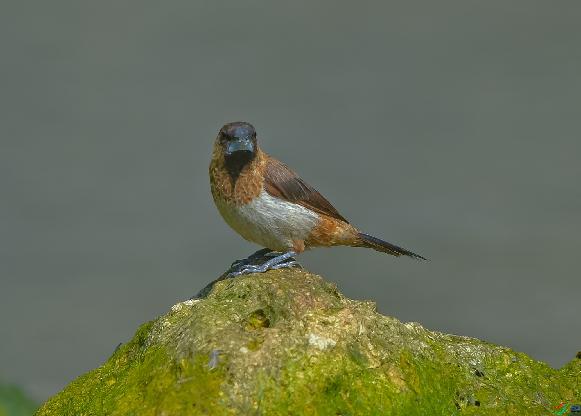 DSC_4516.JPG