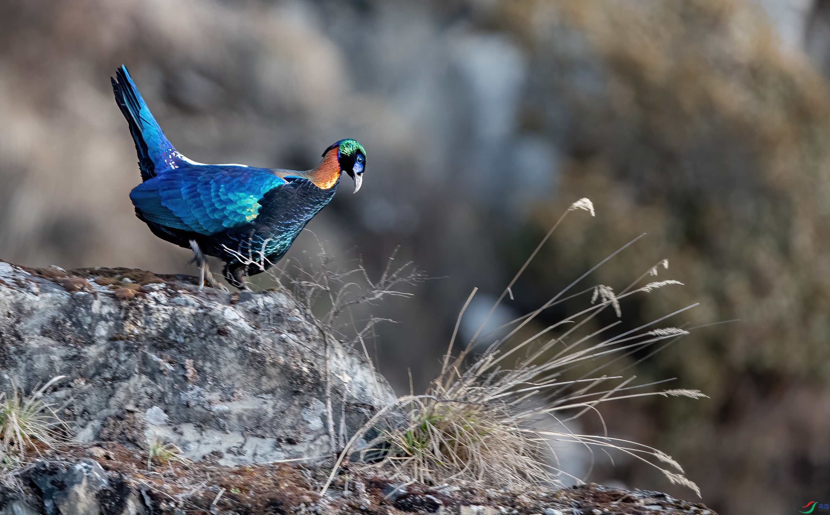 AY8I2445 ����.jpg