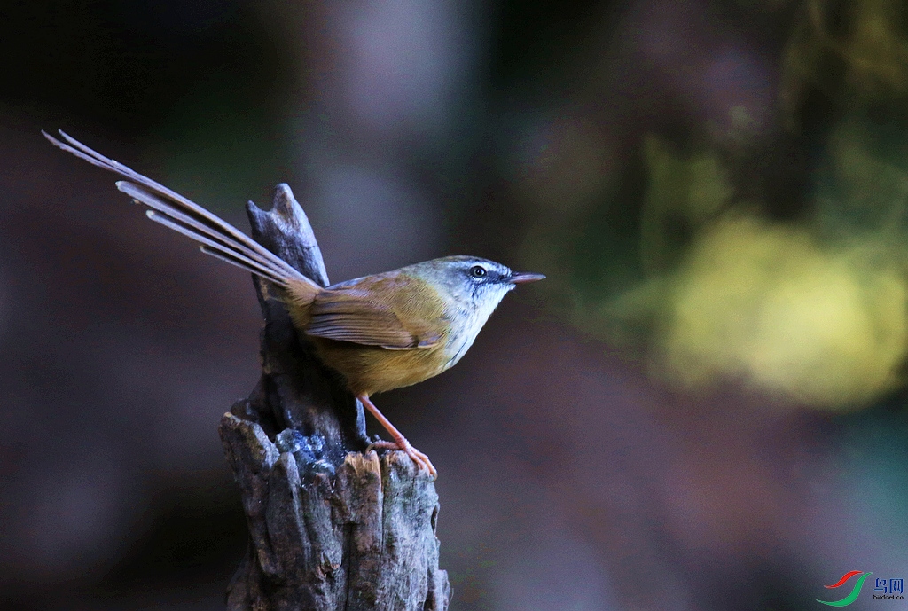 ���� 0F4A8661���Ŀɰ���ݺ������.JPG