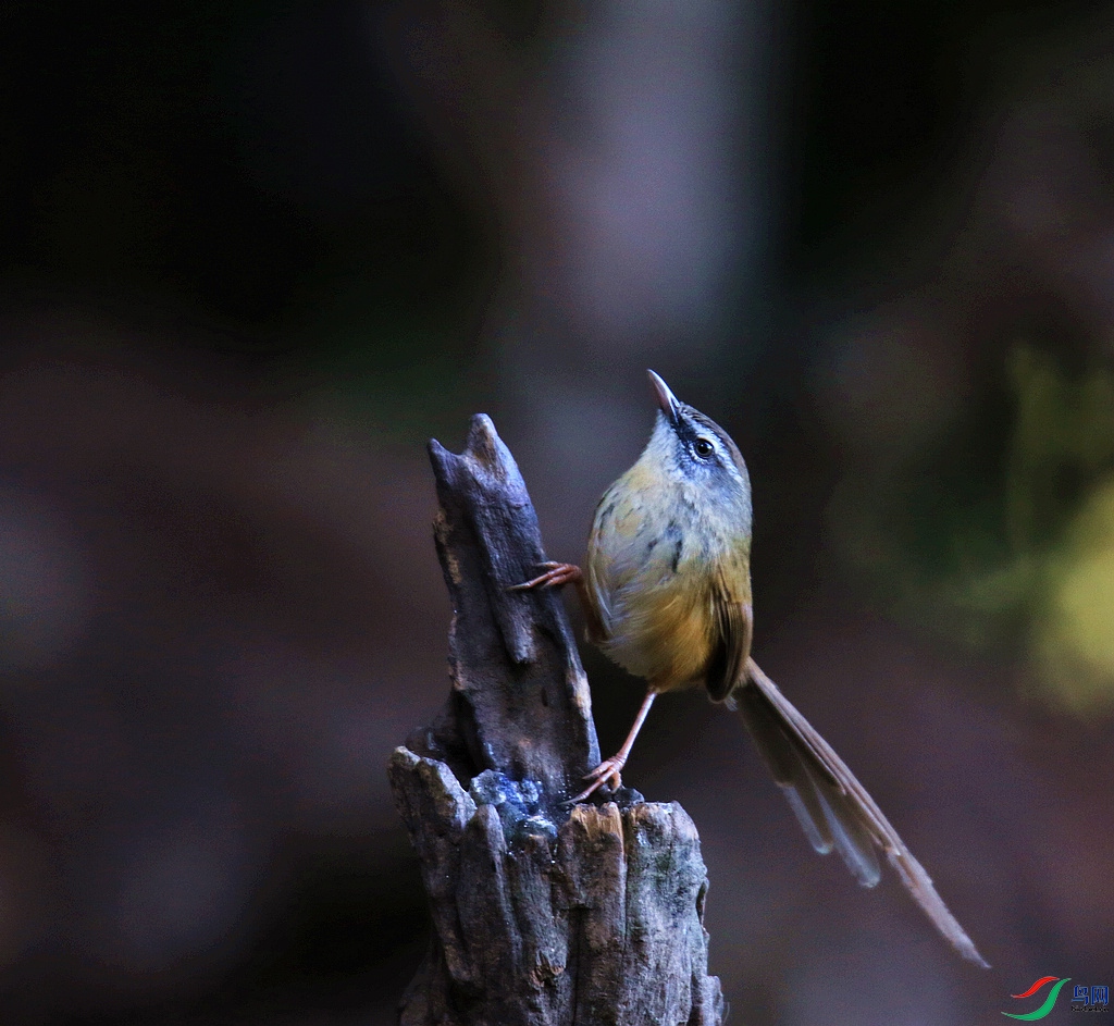 ���� 0F4A8676.JPG