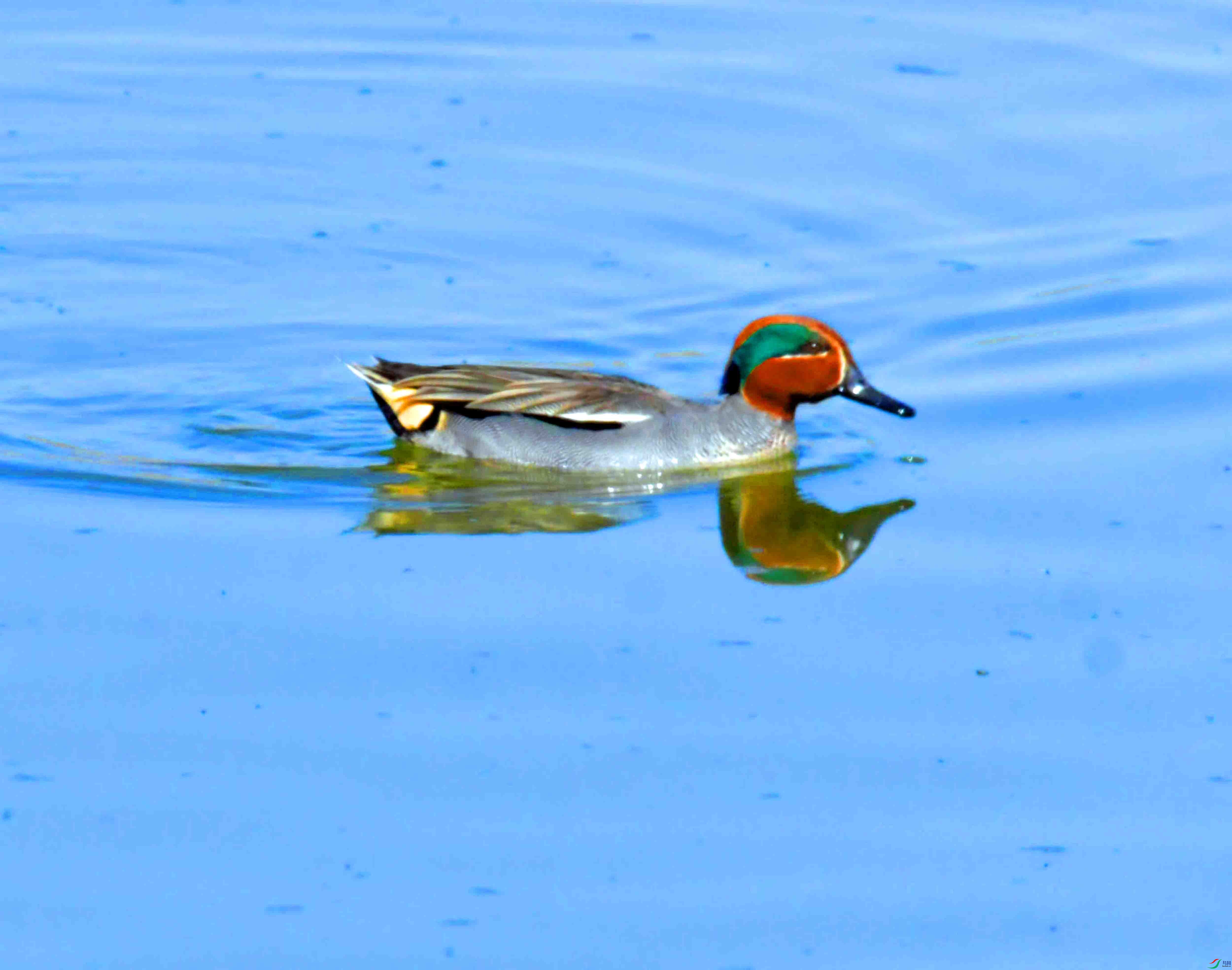 DSC_1444.JPG