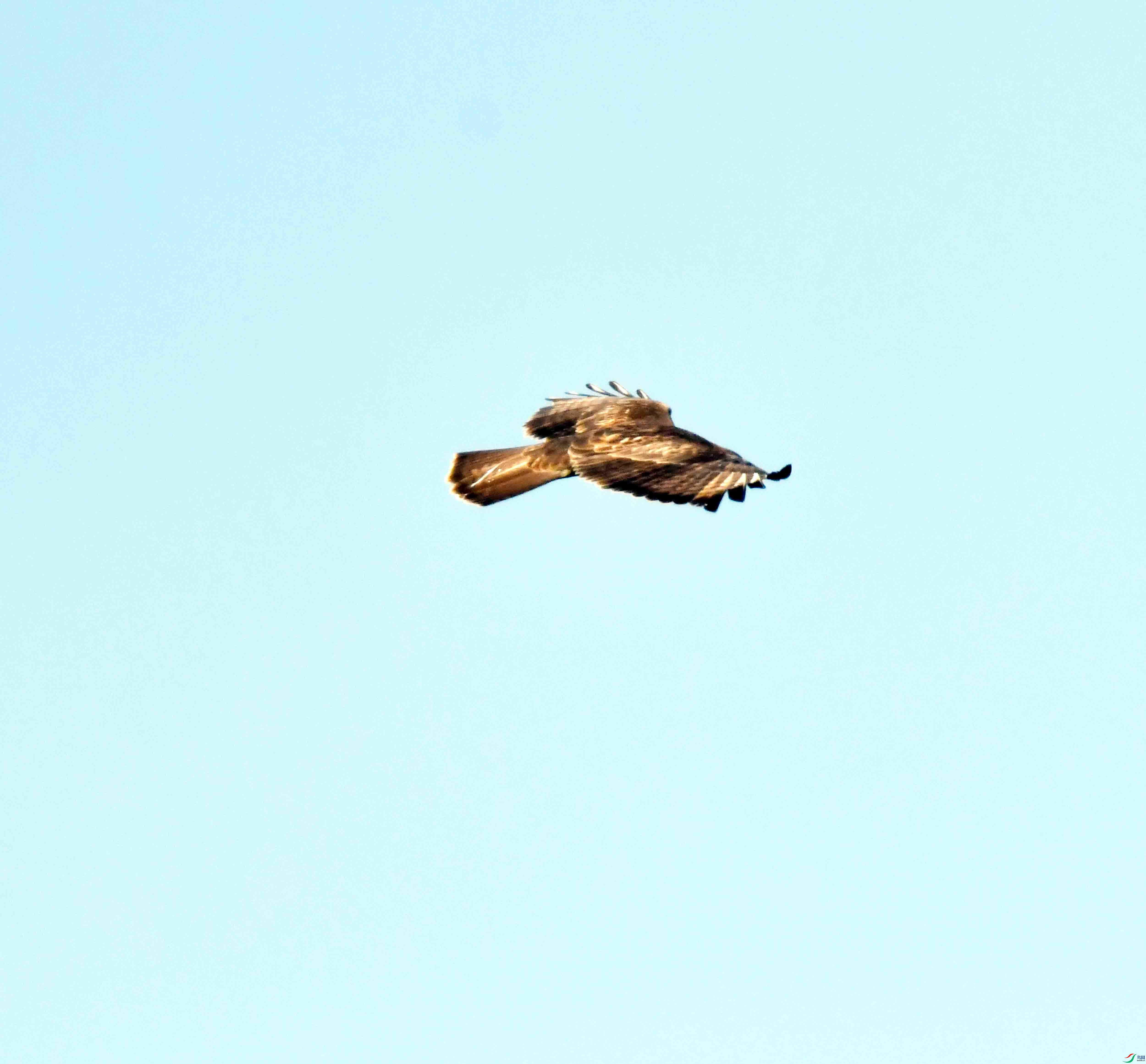DSC_0560.JPG