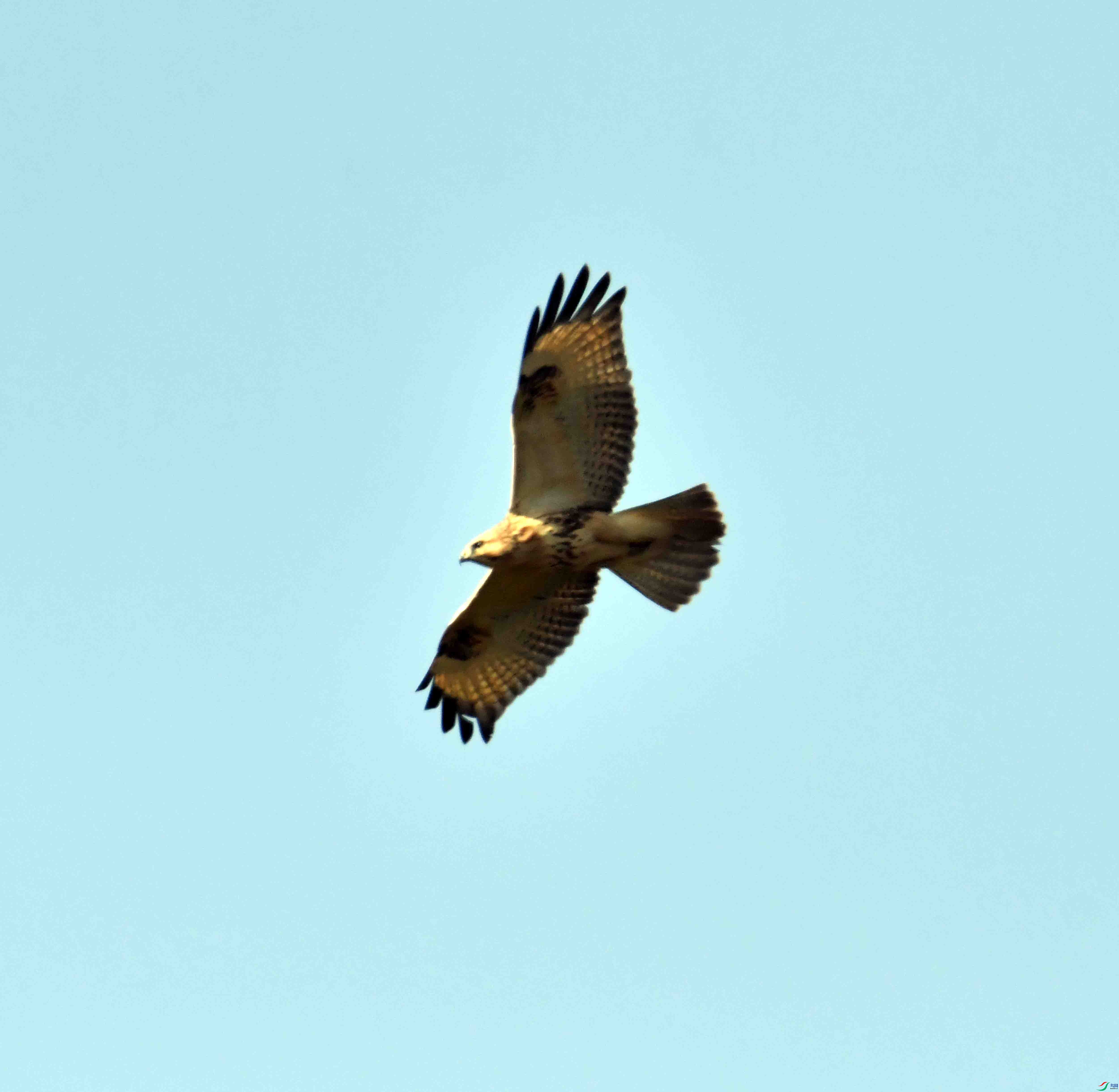 DSC_0585.JPG