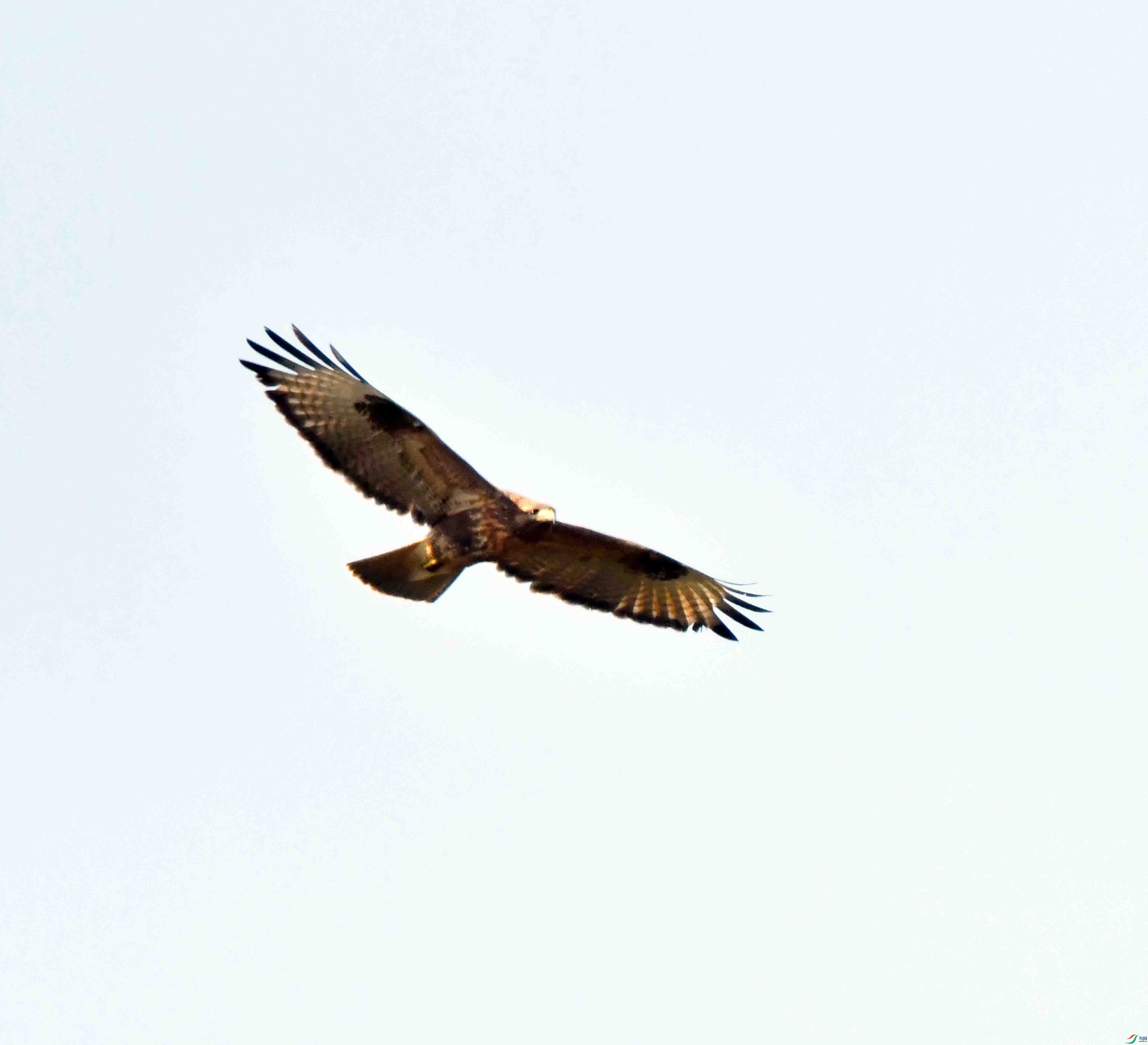 DSC_0587.JPG