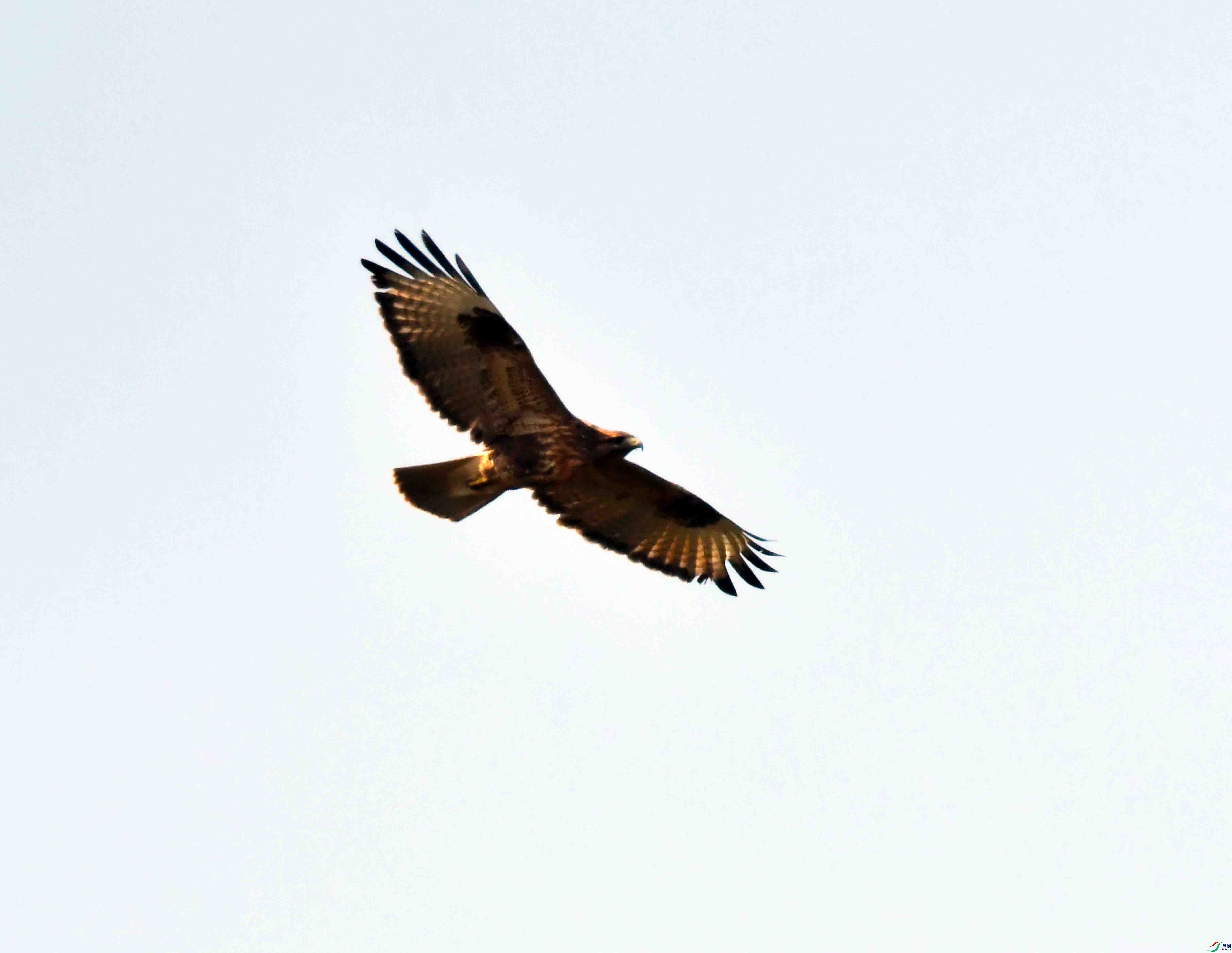 DSC_0588.JPG