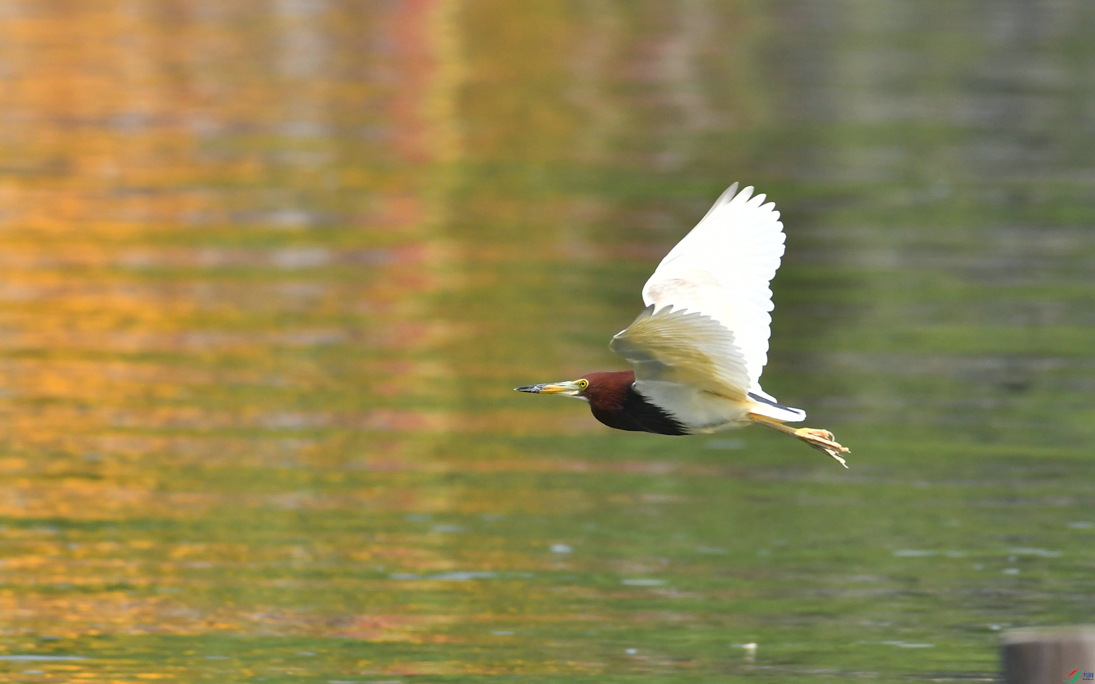 DSC_8409.JPG