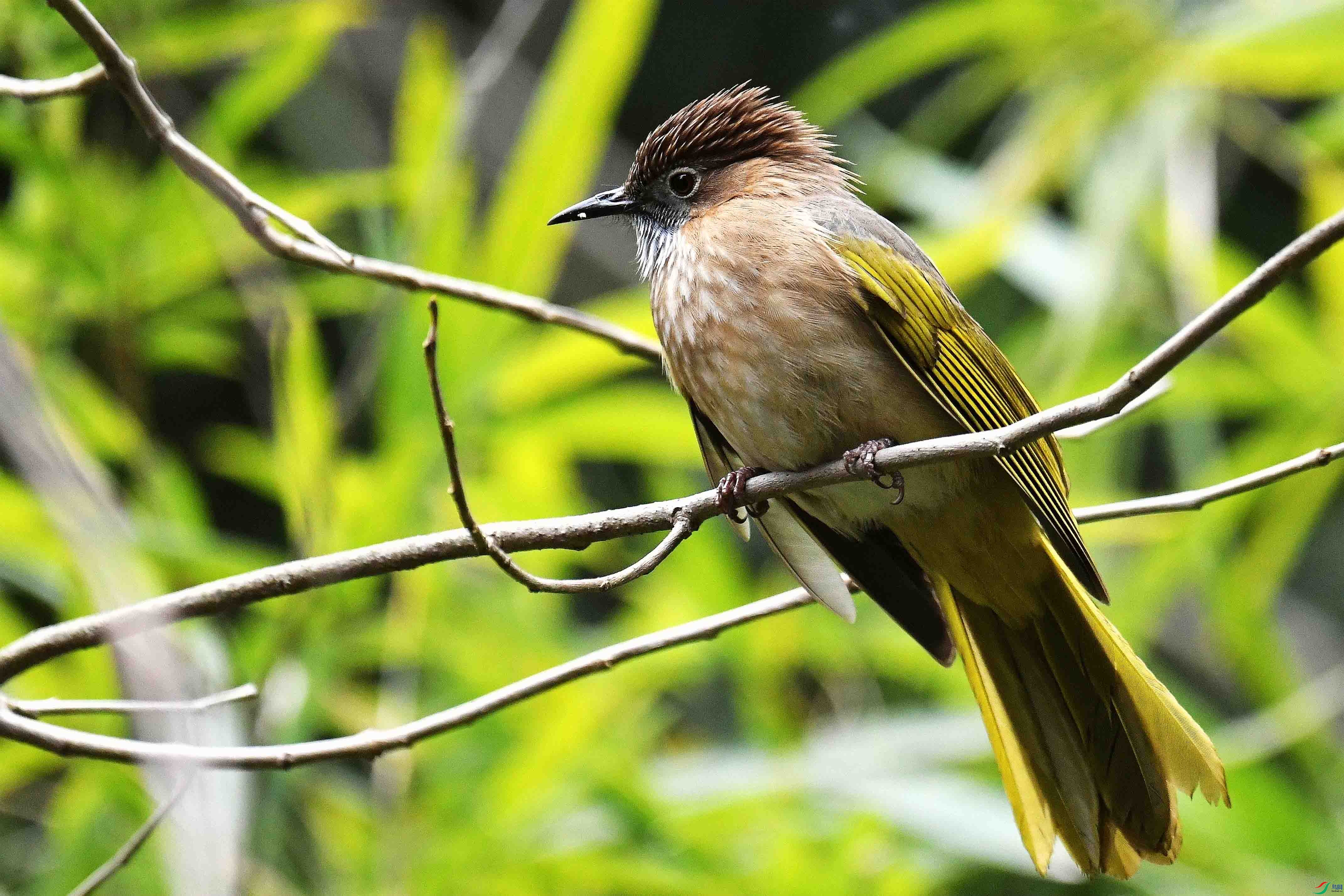 DSC_6783_����.jpg