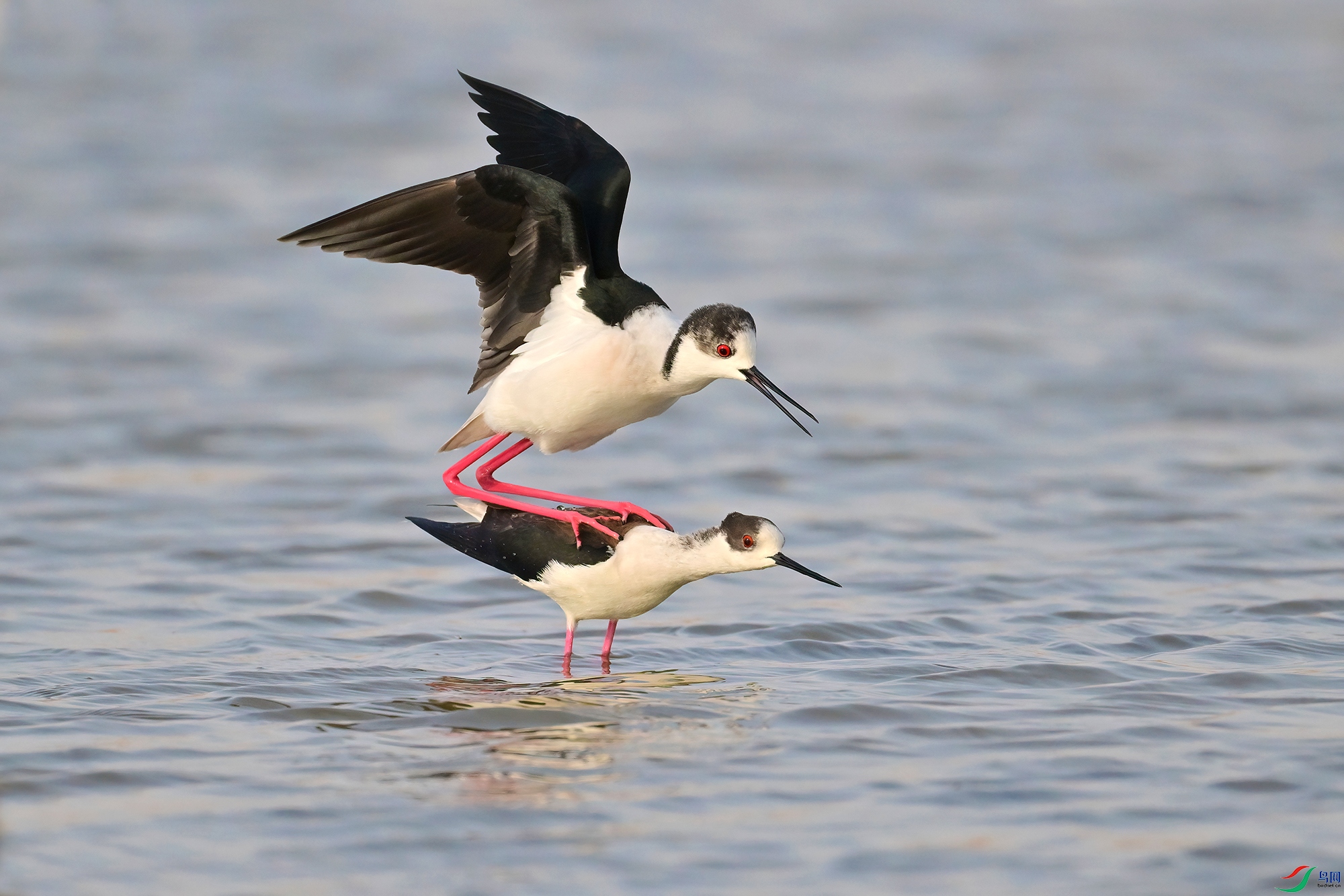 DSC_5397-B.jpg