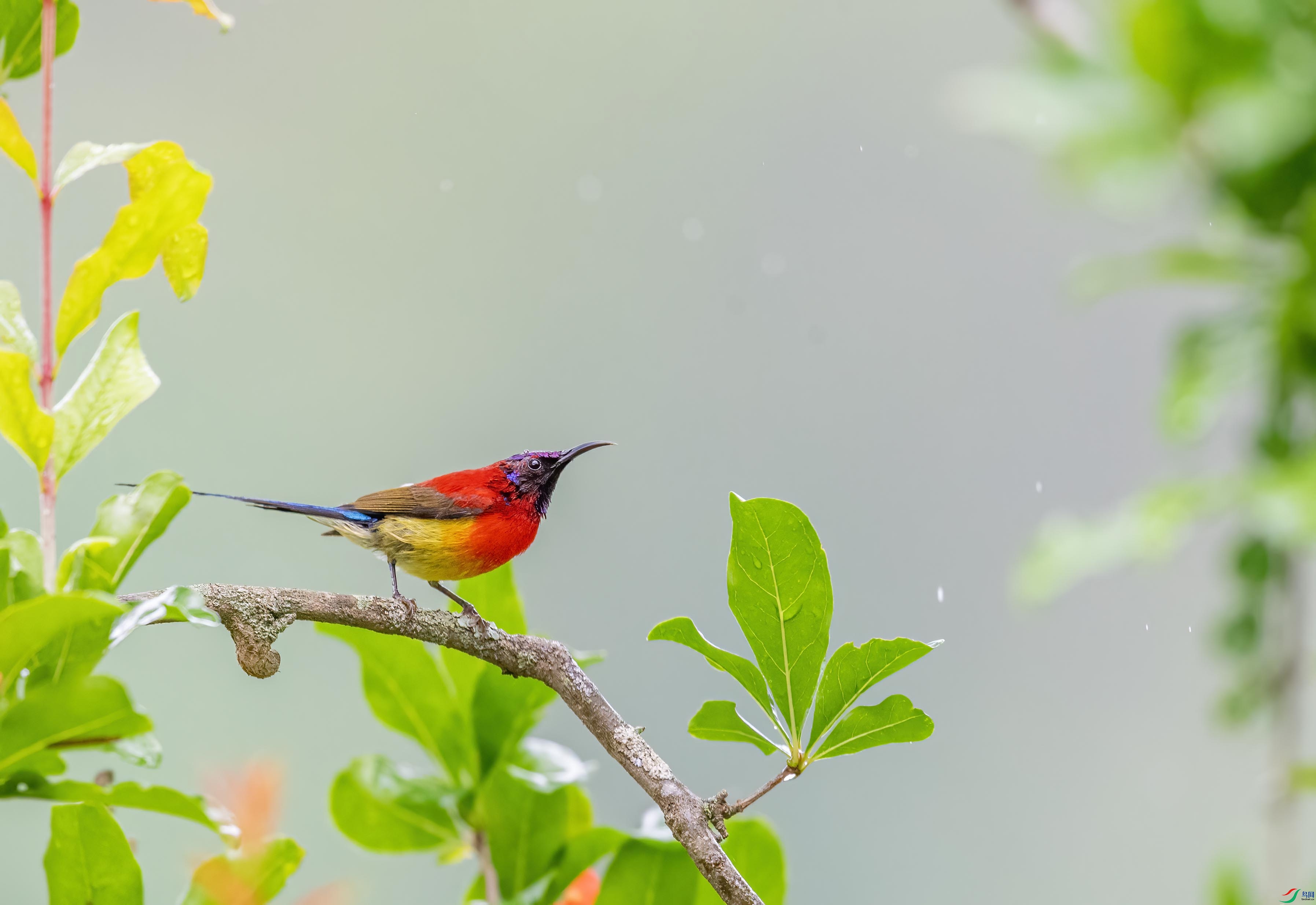 DSC_6543 ����.jpg