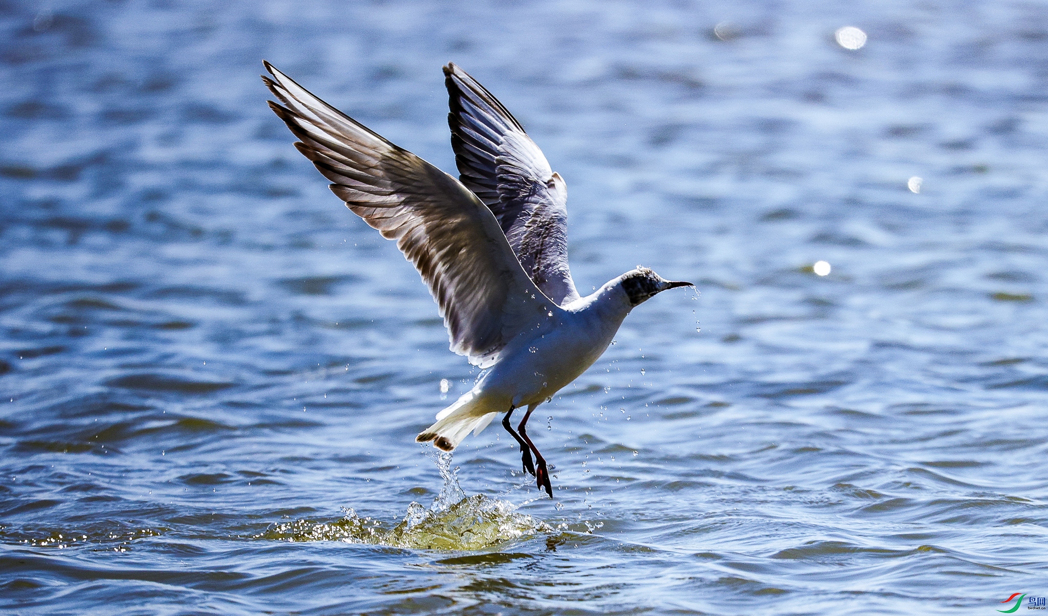 ����������� 3