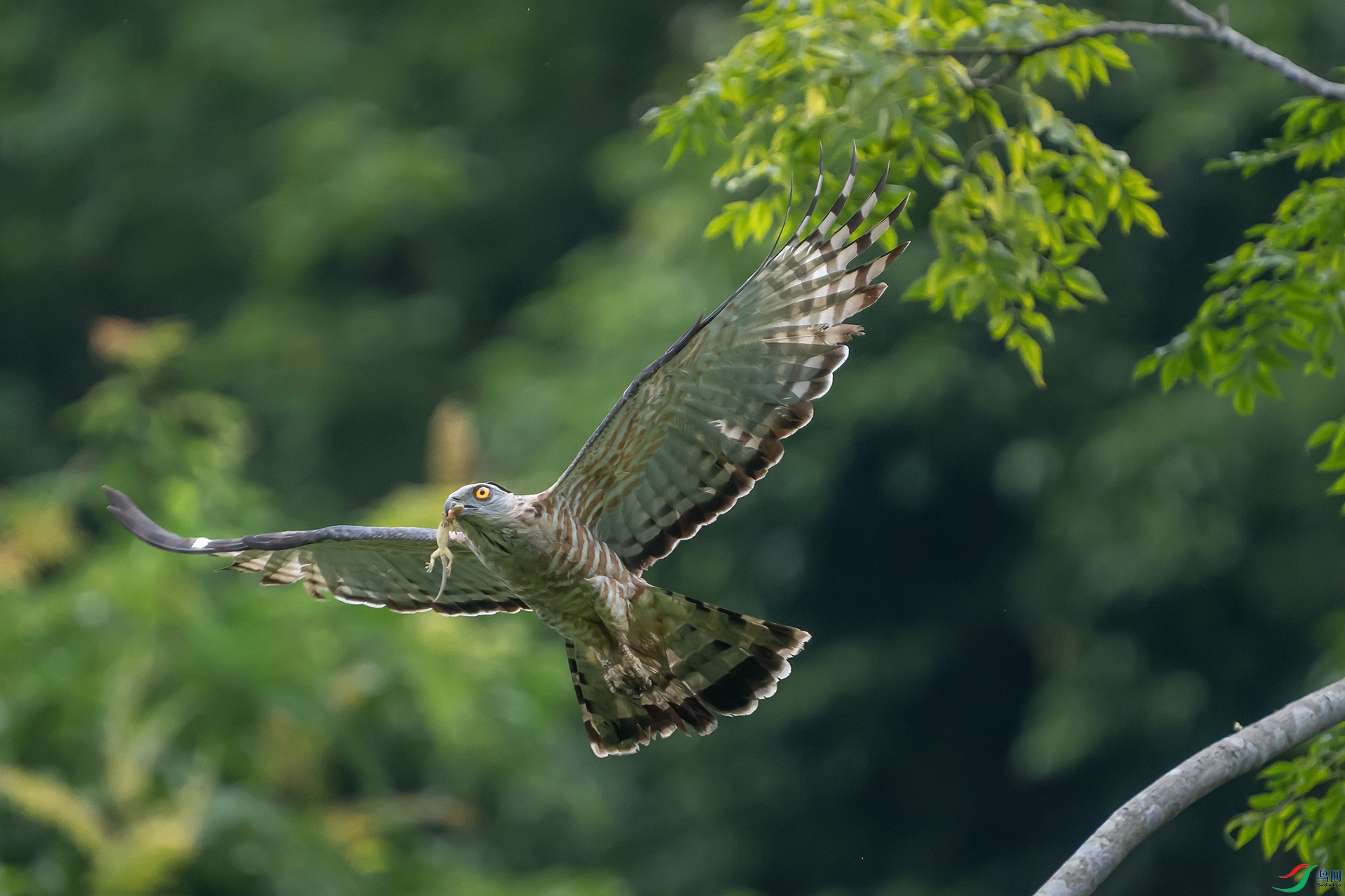 DSC01857 ����111111111111111111.jpg