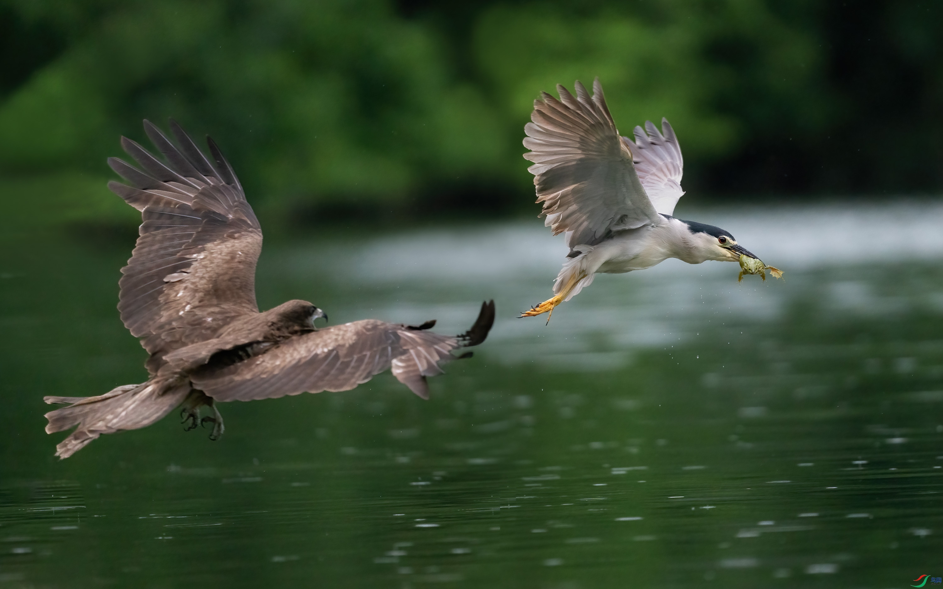 DSC04167 ����.jpg