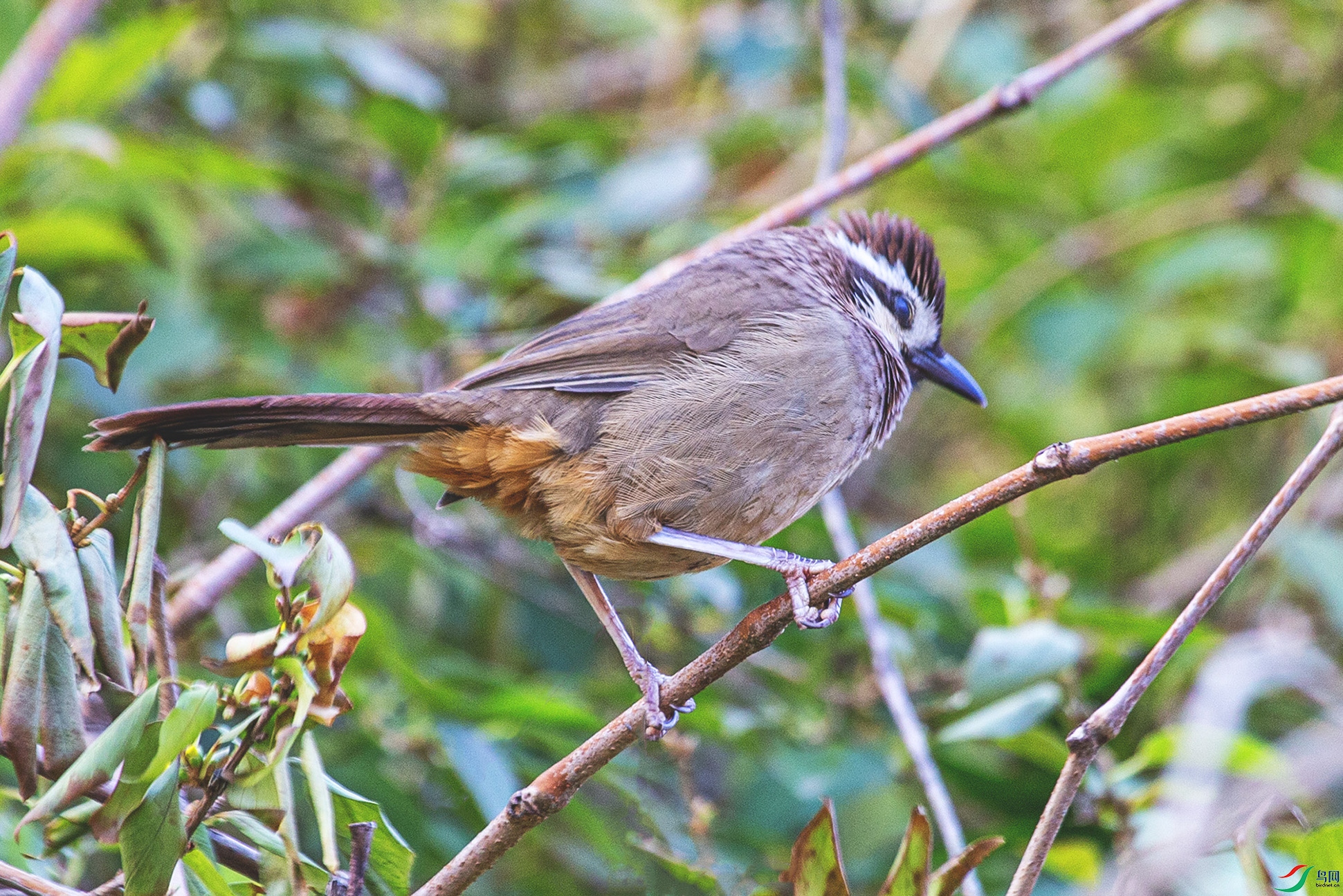 _MG_4613 ���� 2.jpg