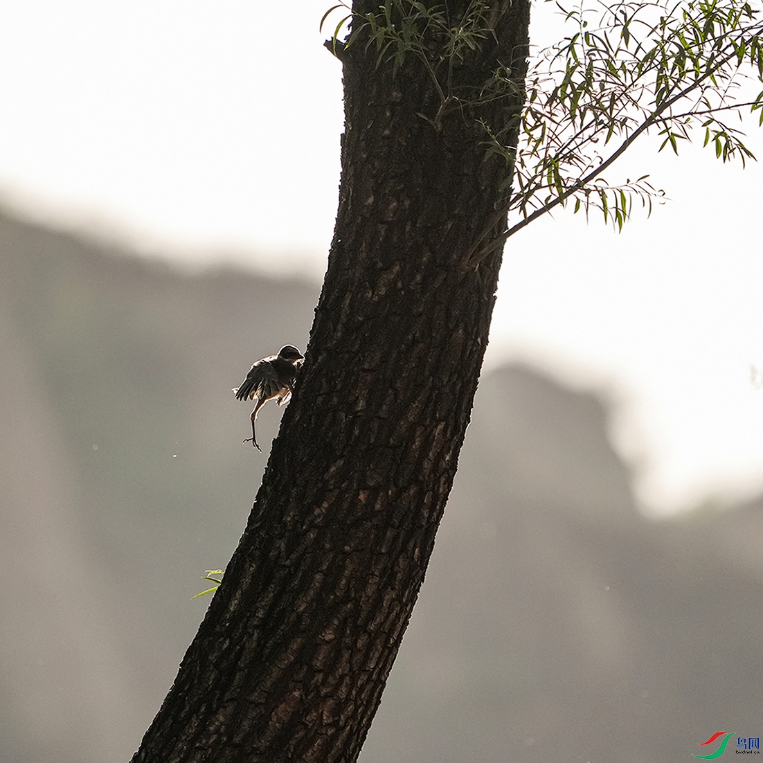 DSC07266 ���� 2.jpg