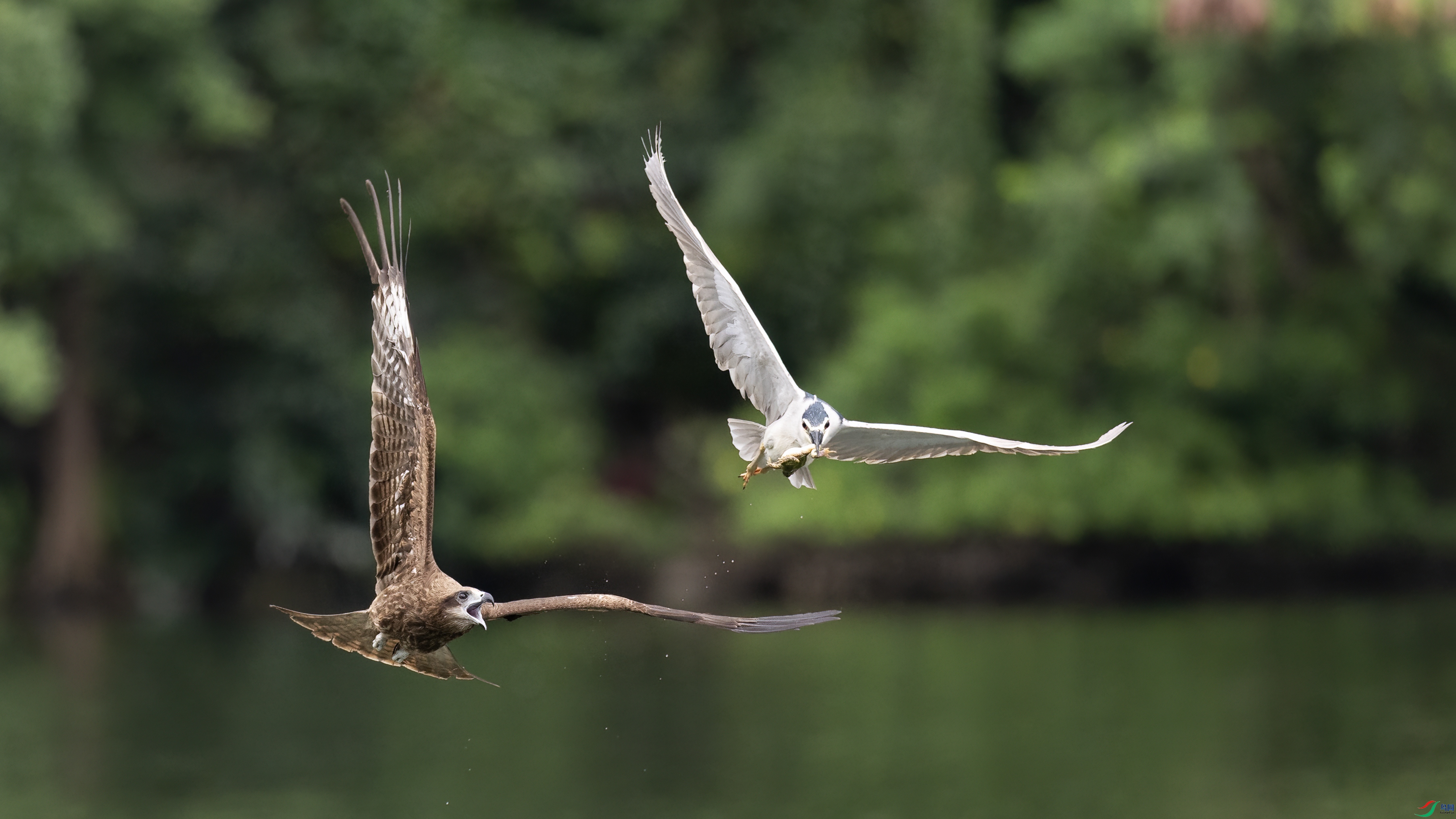 0R7A5811 ����.jpg