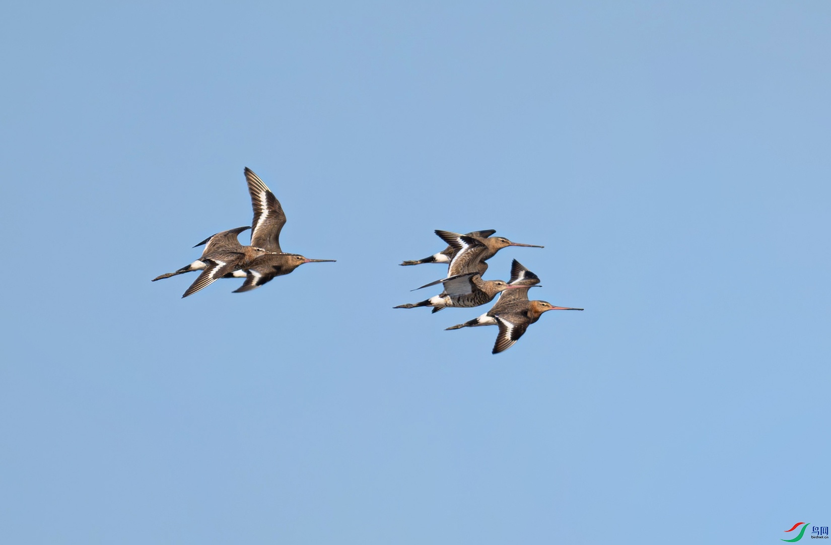 _DSC7841f.jpg