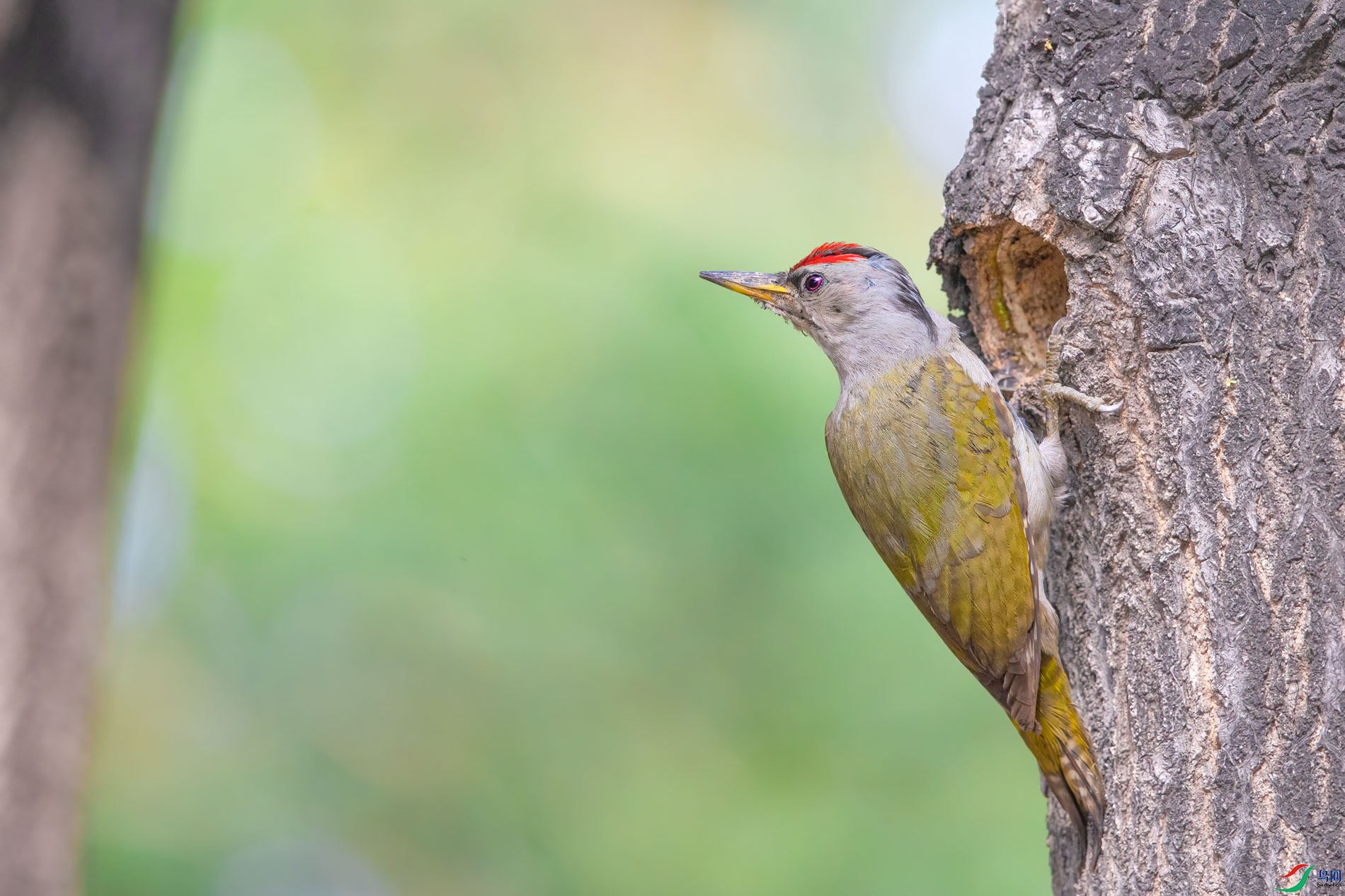 AQ4P0228-1.jpg