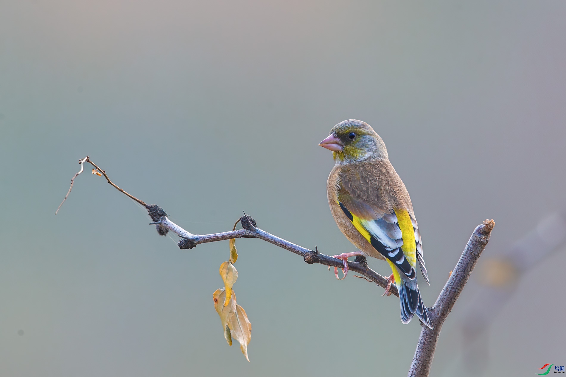 AQ4P0423-1.jpg