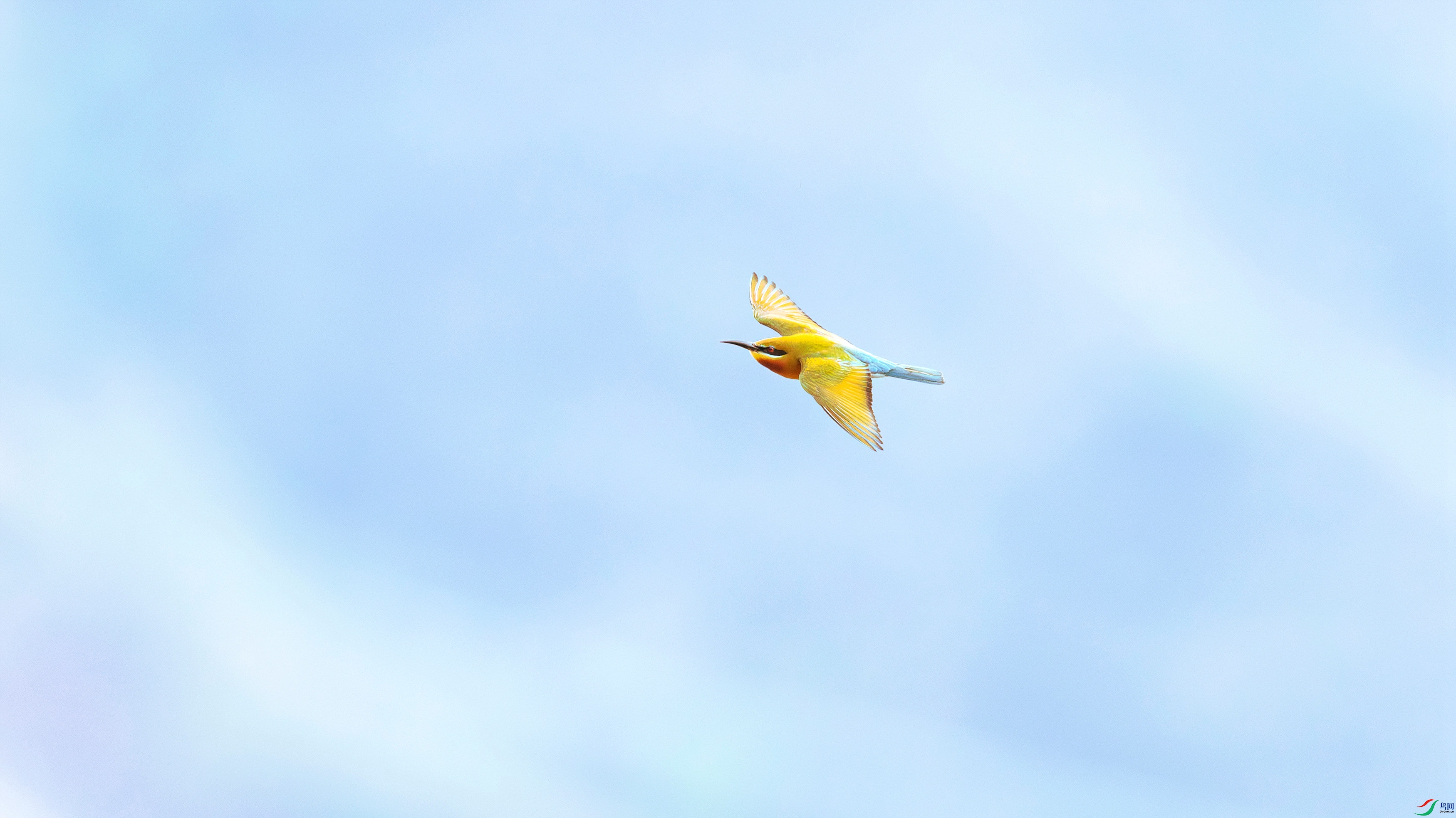 412A7437-����ǿ-����-1_����=00.jpg