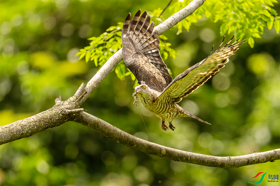 DSC08705.png    00001.png