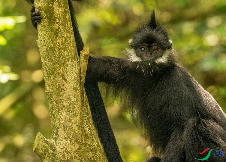 DSC06068.png     000001.png