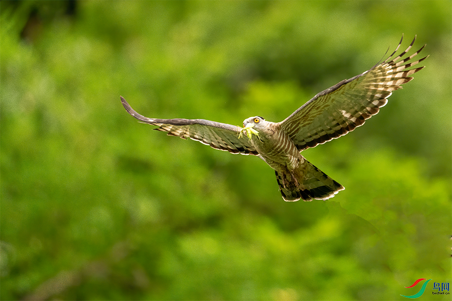 DSC08639.png    00001.png