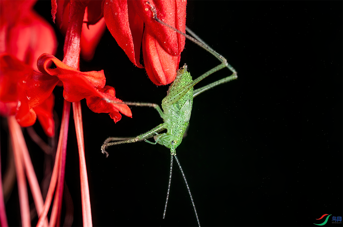 DSC_2245.png   000002.png