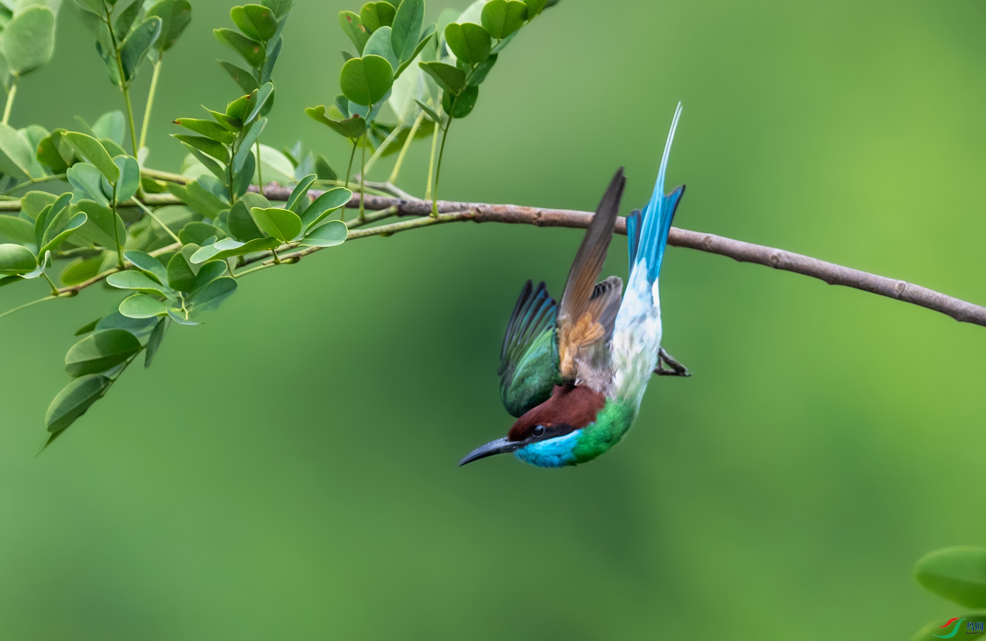 DSC_2283-gigapixel-high-fidelity-v2-2x.jpg