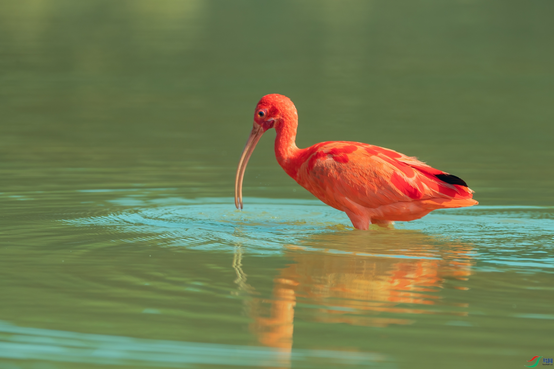 B86I5568 _����.jpg