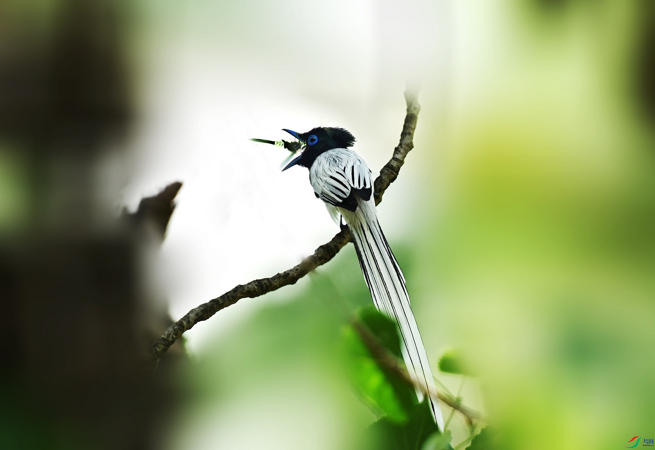 DSC_8917_����9_����.jpg