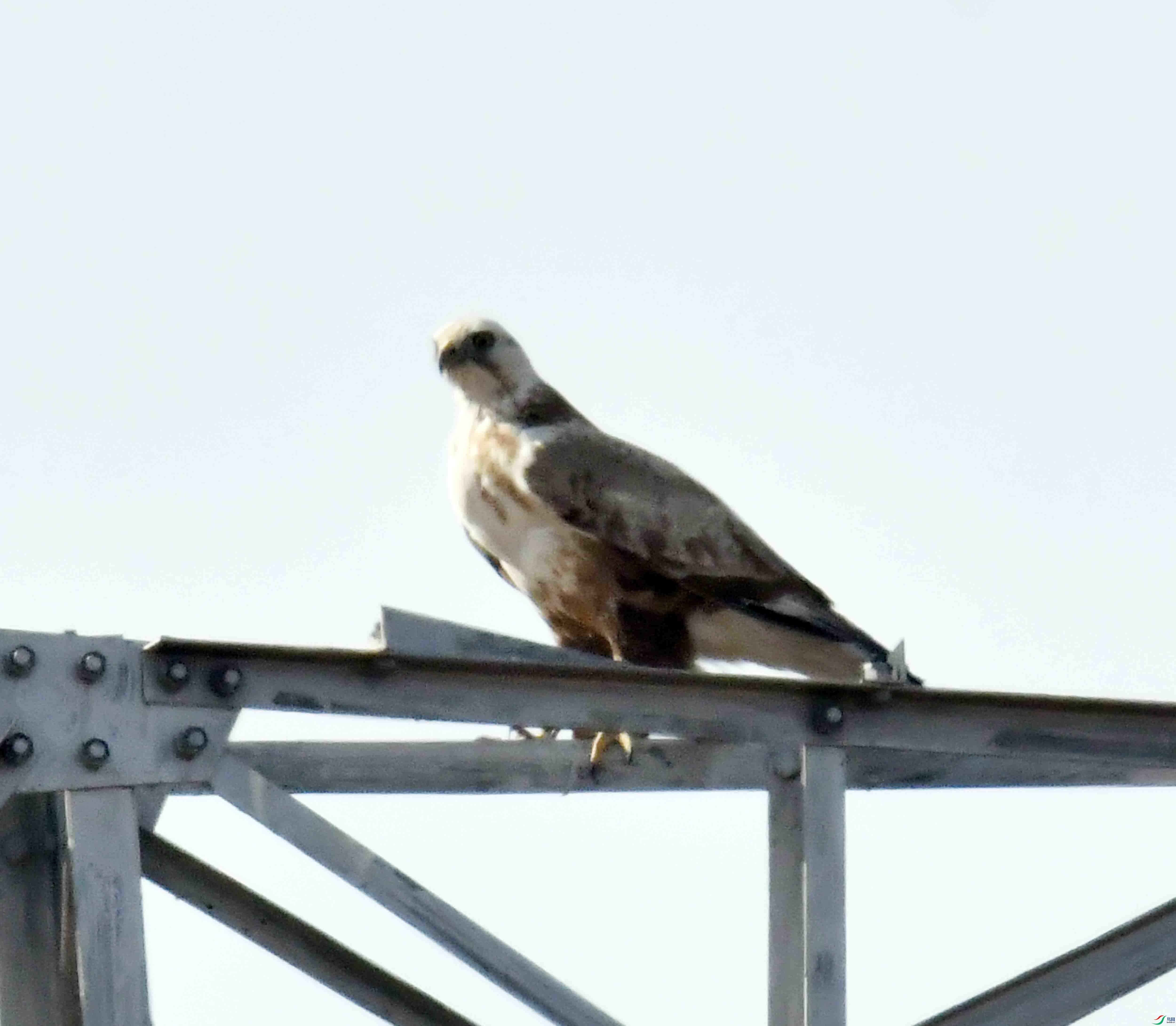 DSC_1707.JPG