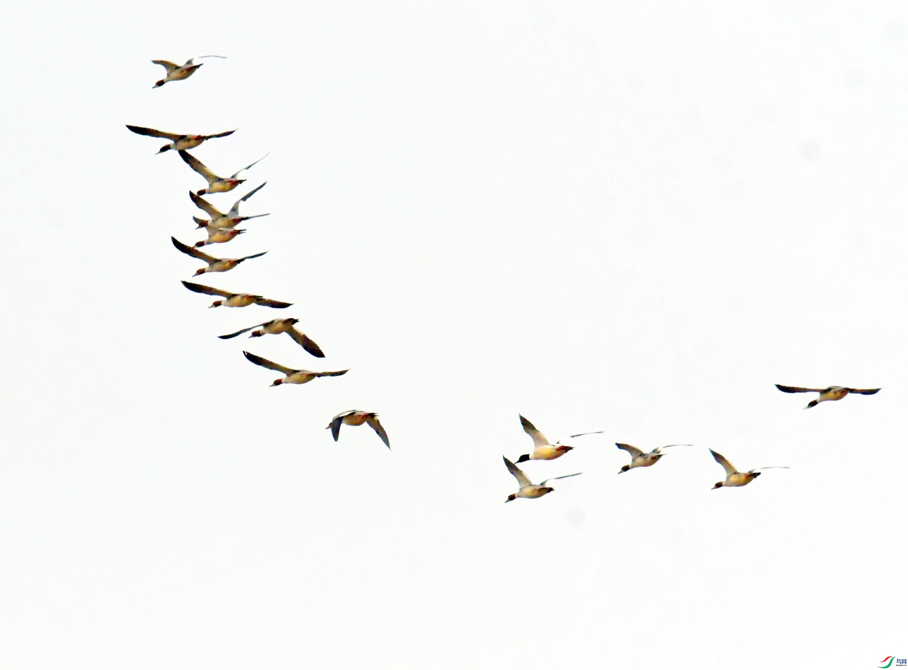 DSC_0747.JPG