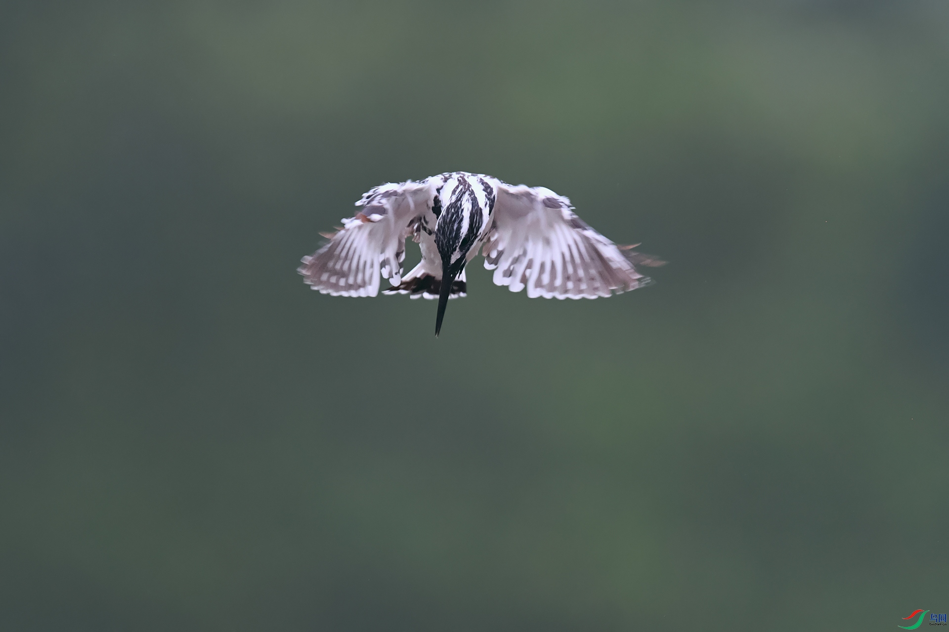 DSC_4898_DxOa.jpg