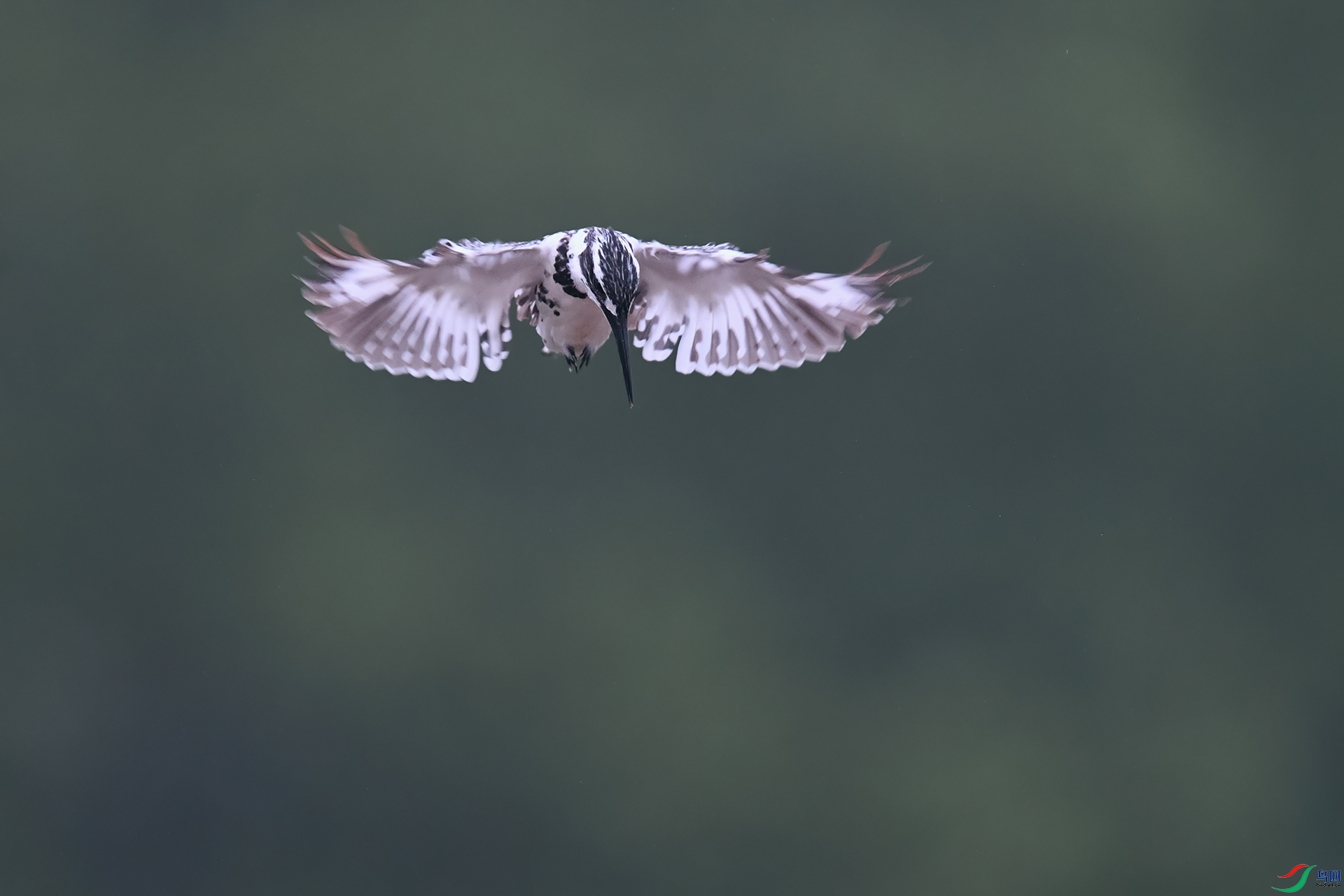 DSC_4928_DxOa.jpg