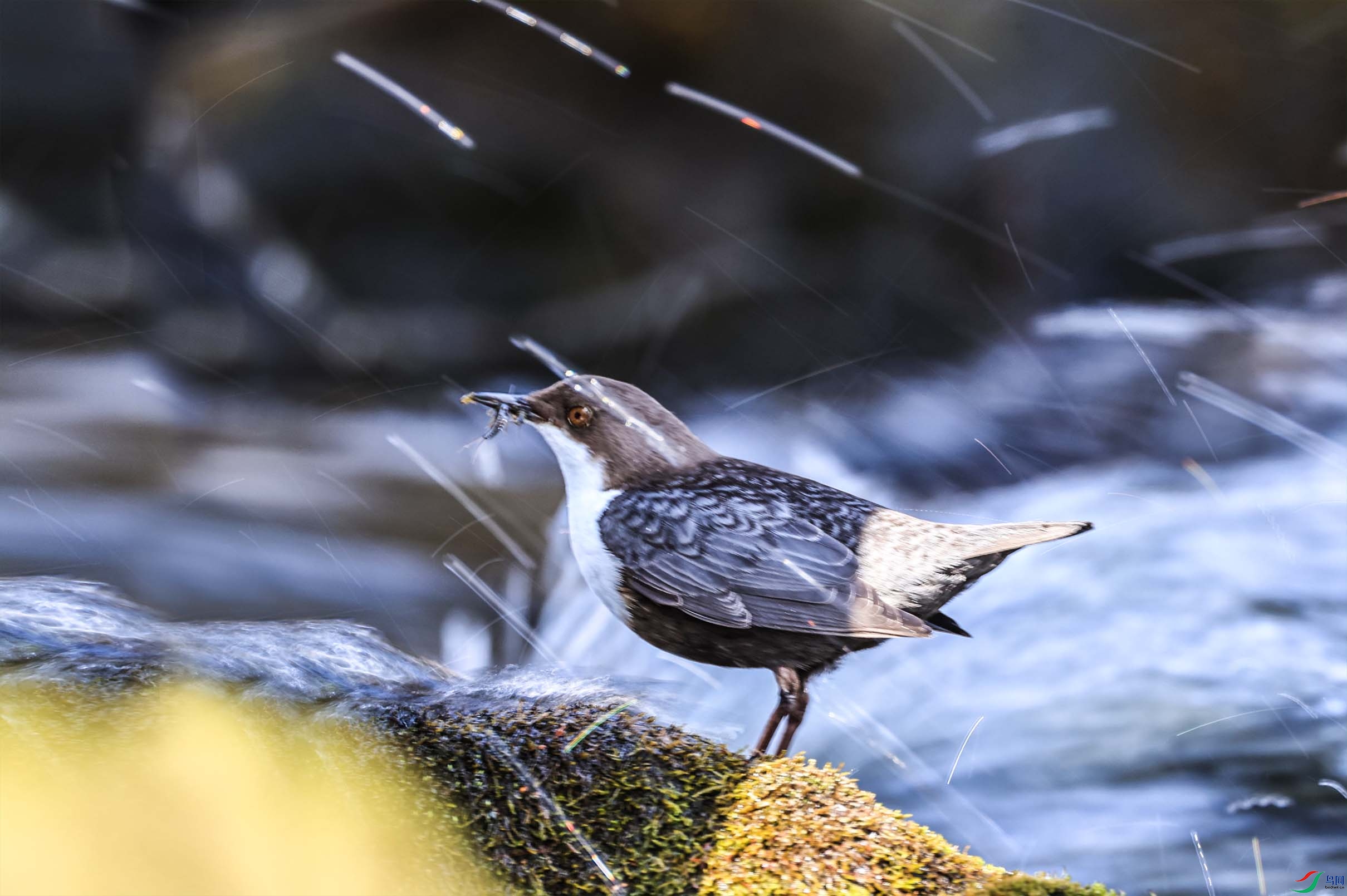 �������㣺�׺����c ����.jpg