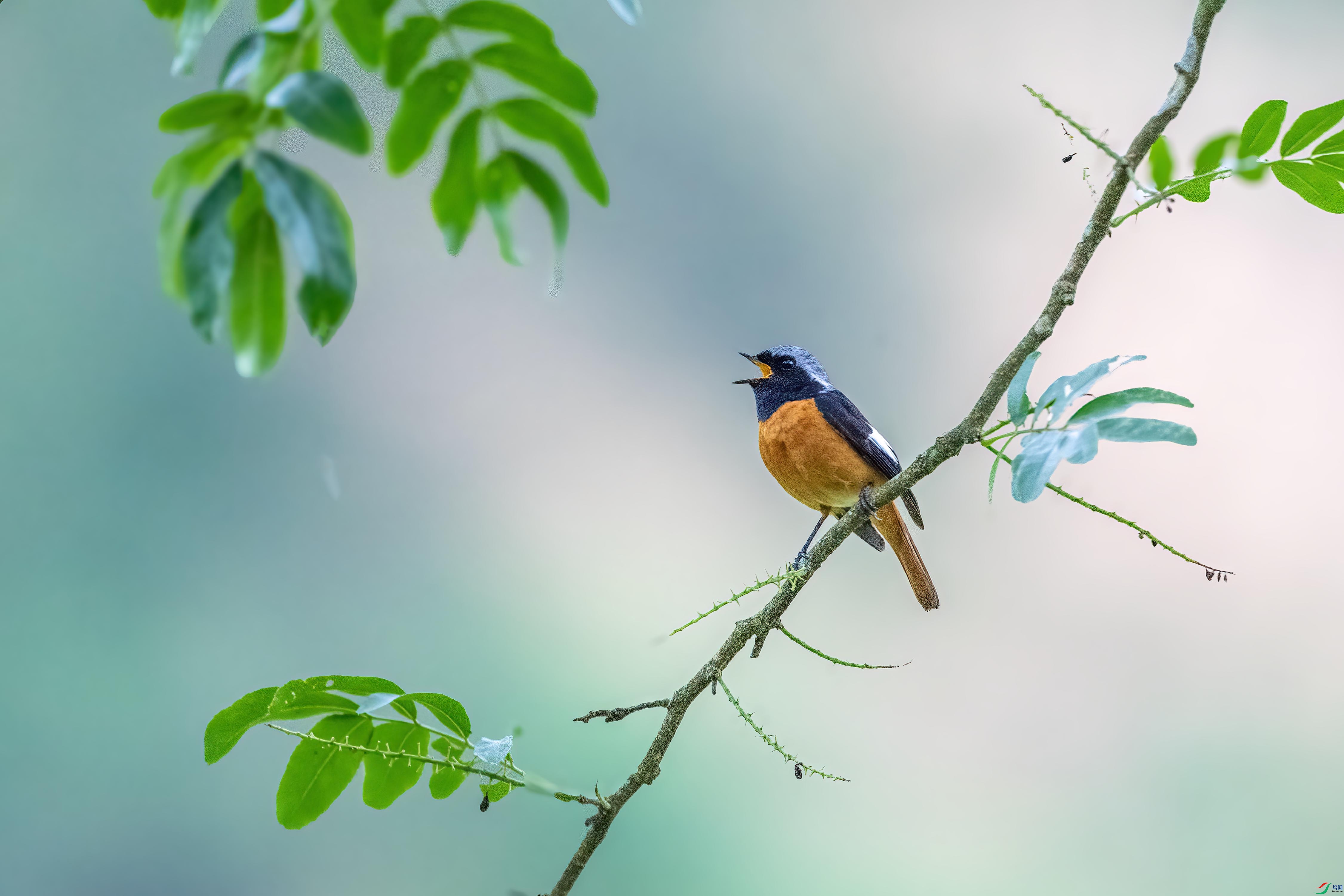 DSC_6467 ����.jpg