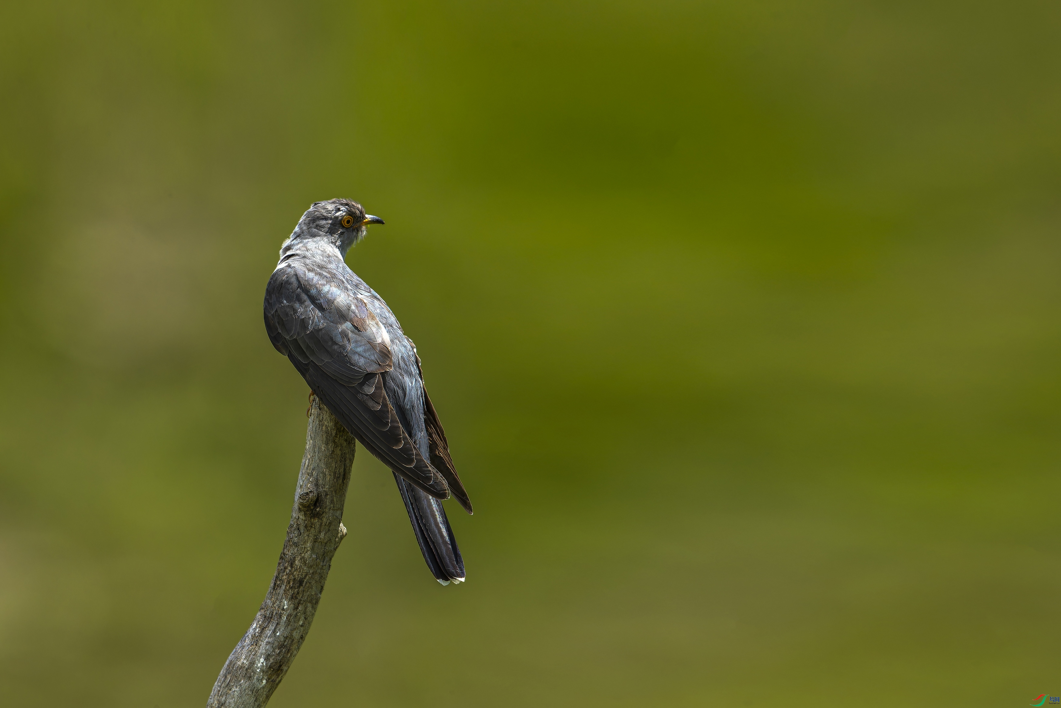 ��ž� (580)-1.jpg