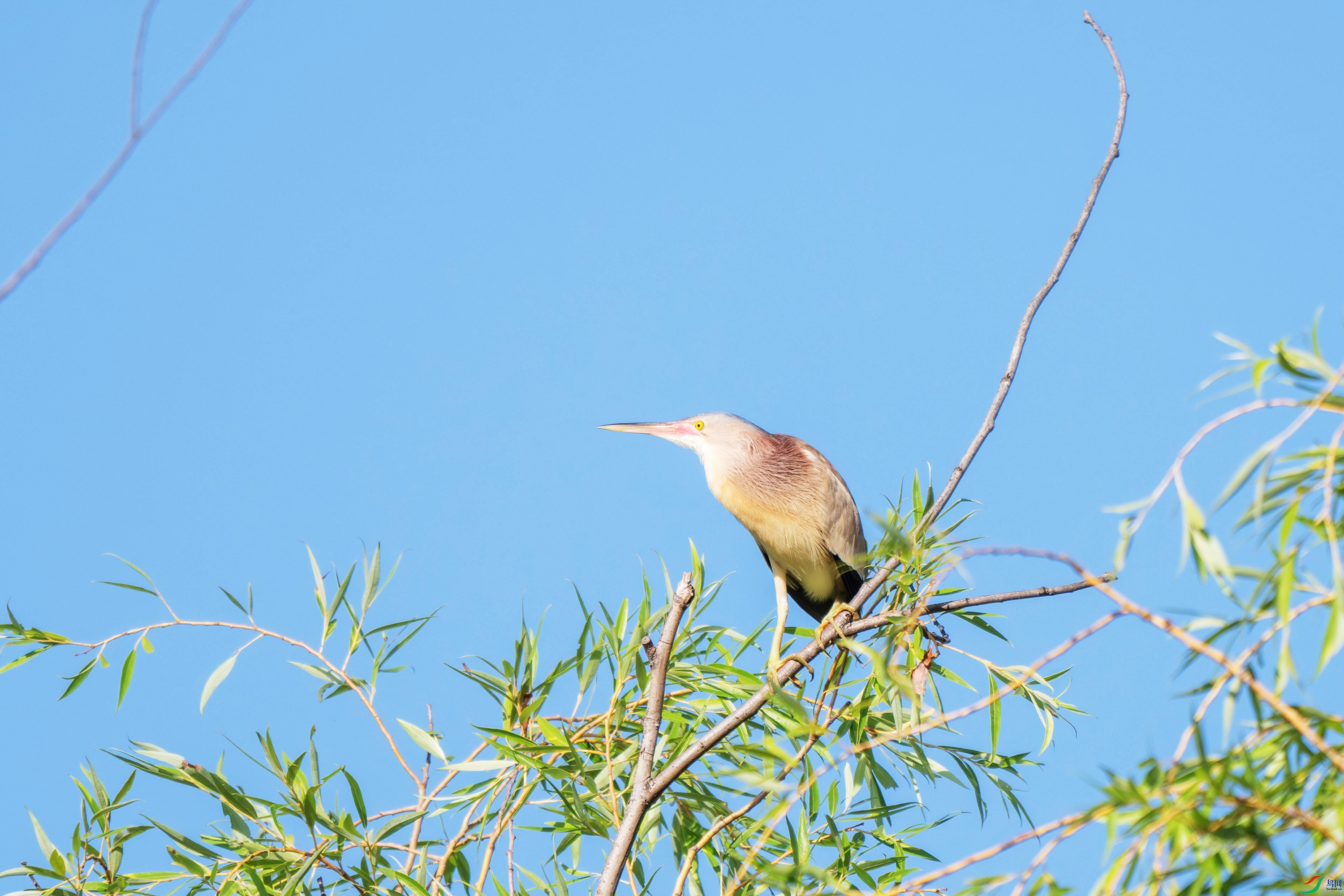 DSC_6219.jpg