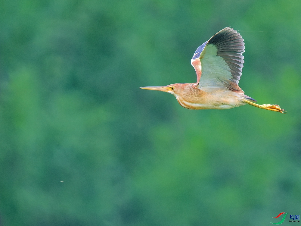 P6040614_DxO - ����.jpg