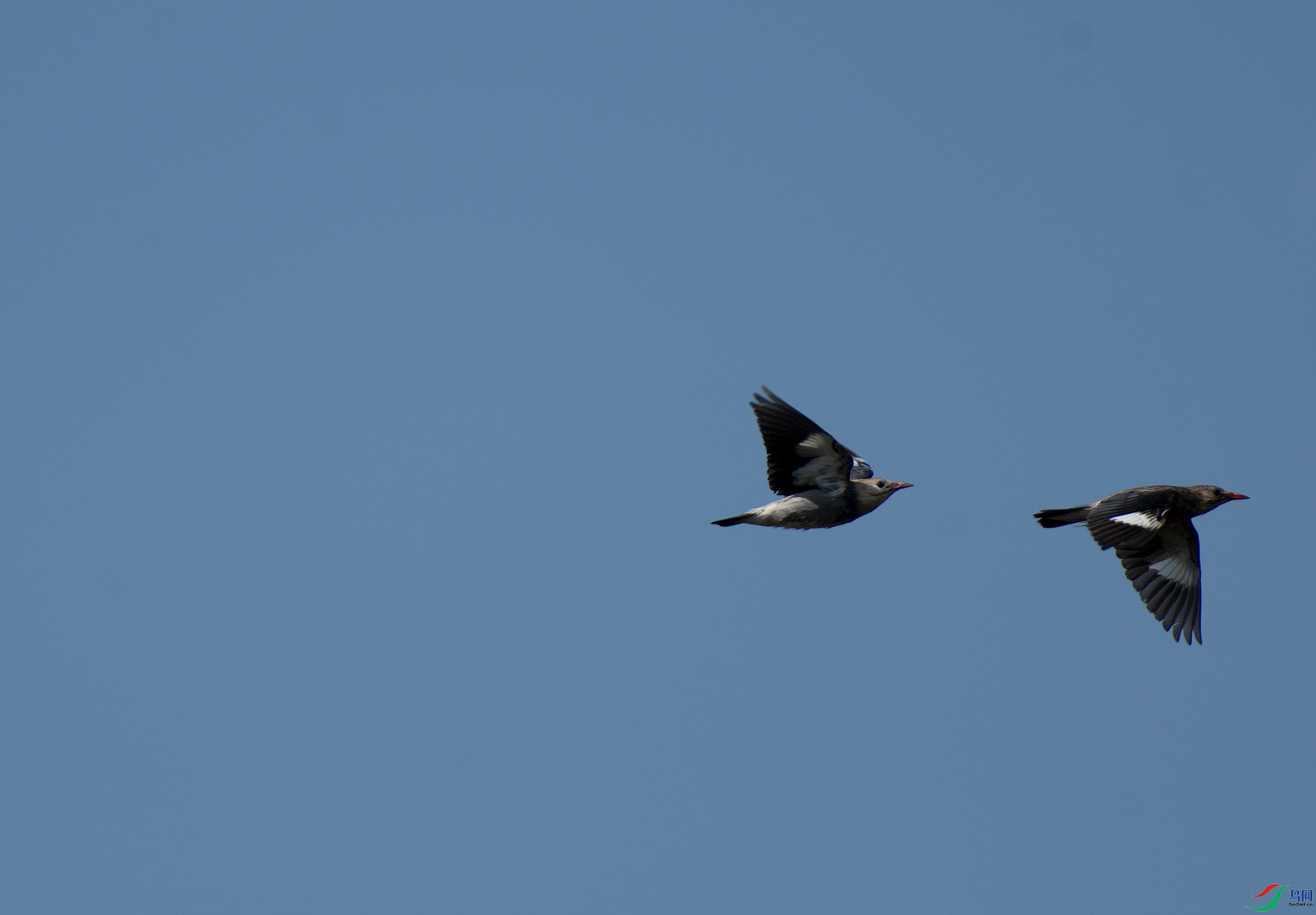 _DSC0596-26.jpg