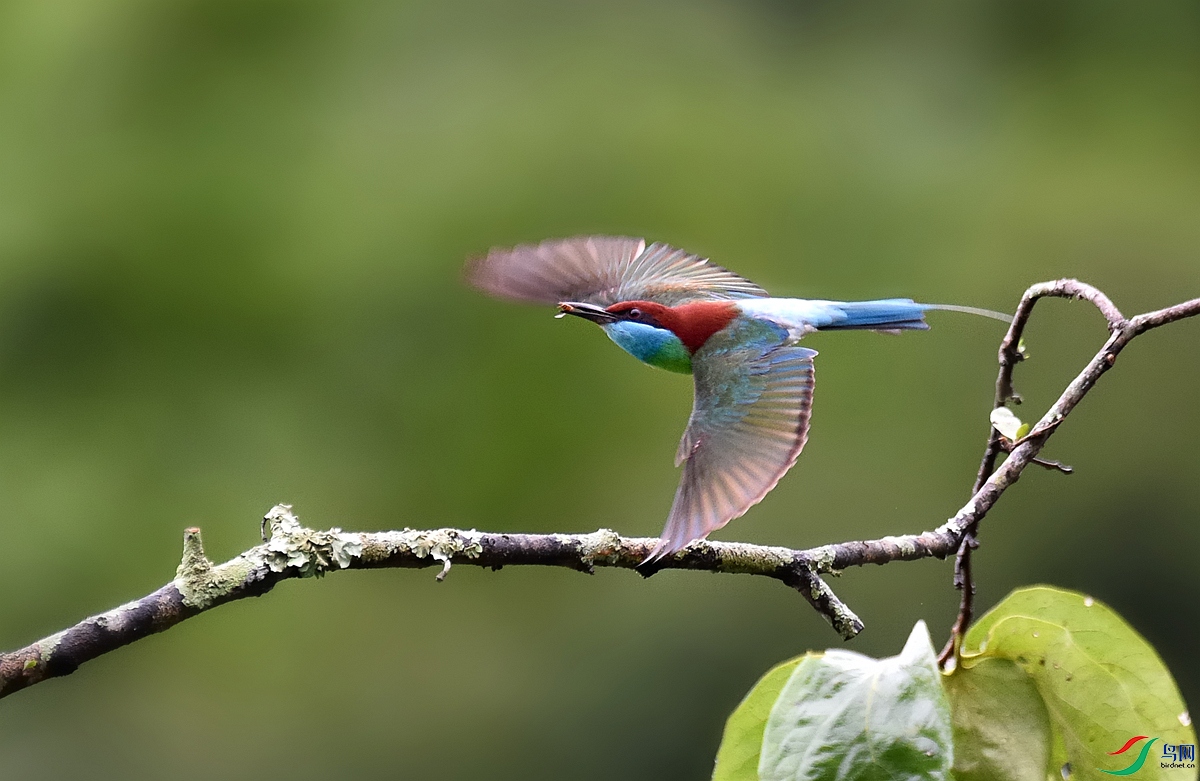 DSC_3776.jpg