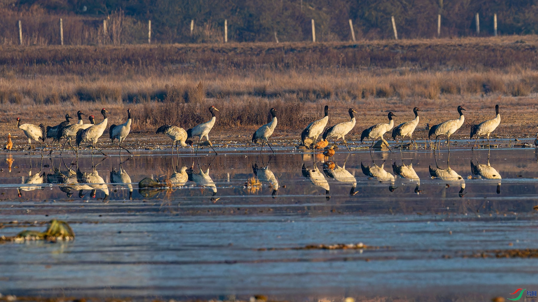 _00A3238-CR2_DxO_DeepPRIMEXD-1.jpg